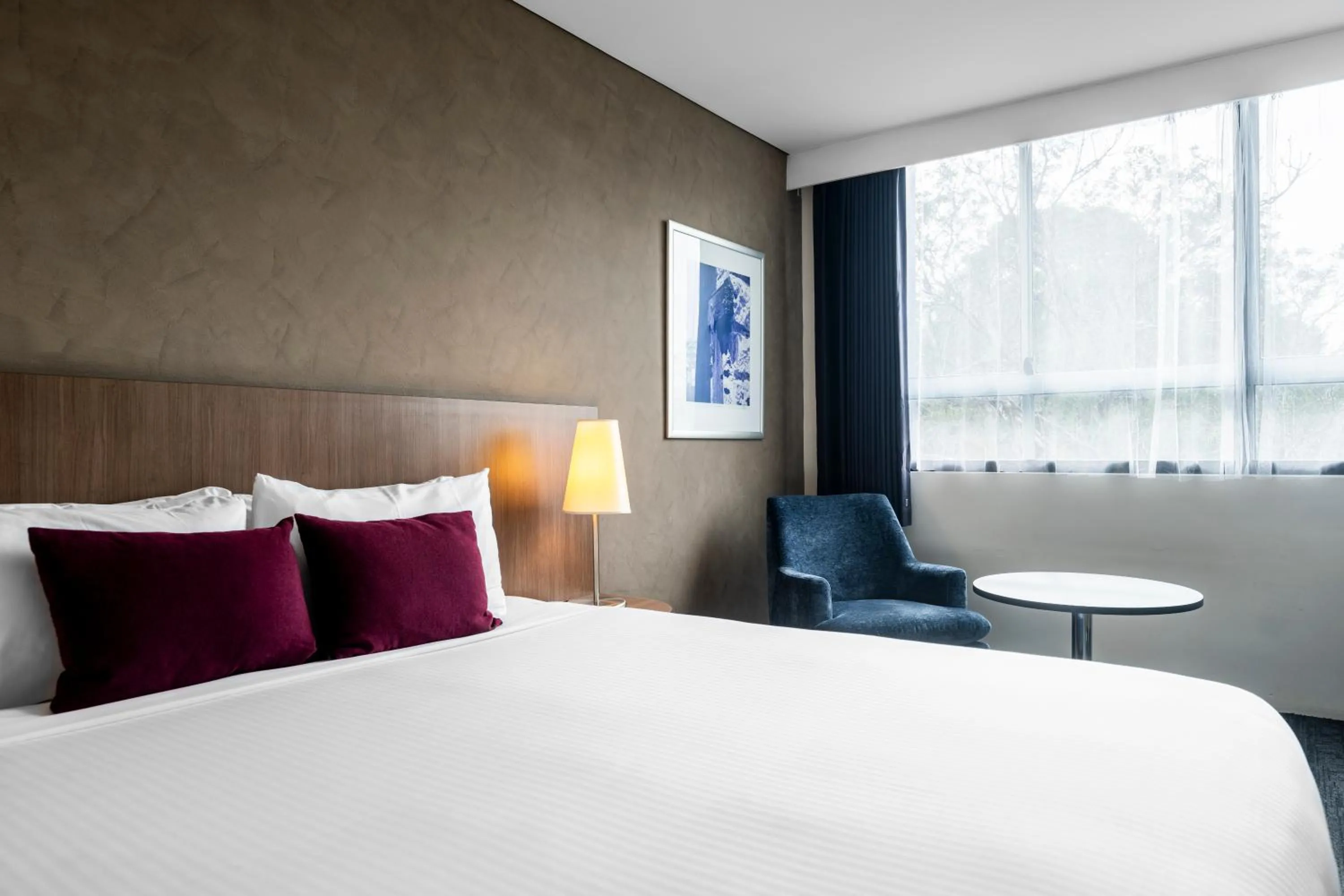 Urban King in Hotel Urban St Leonards