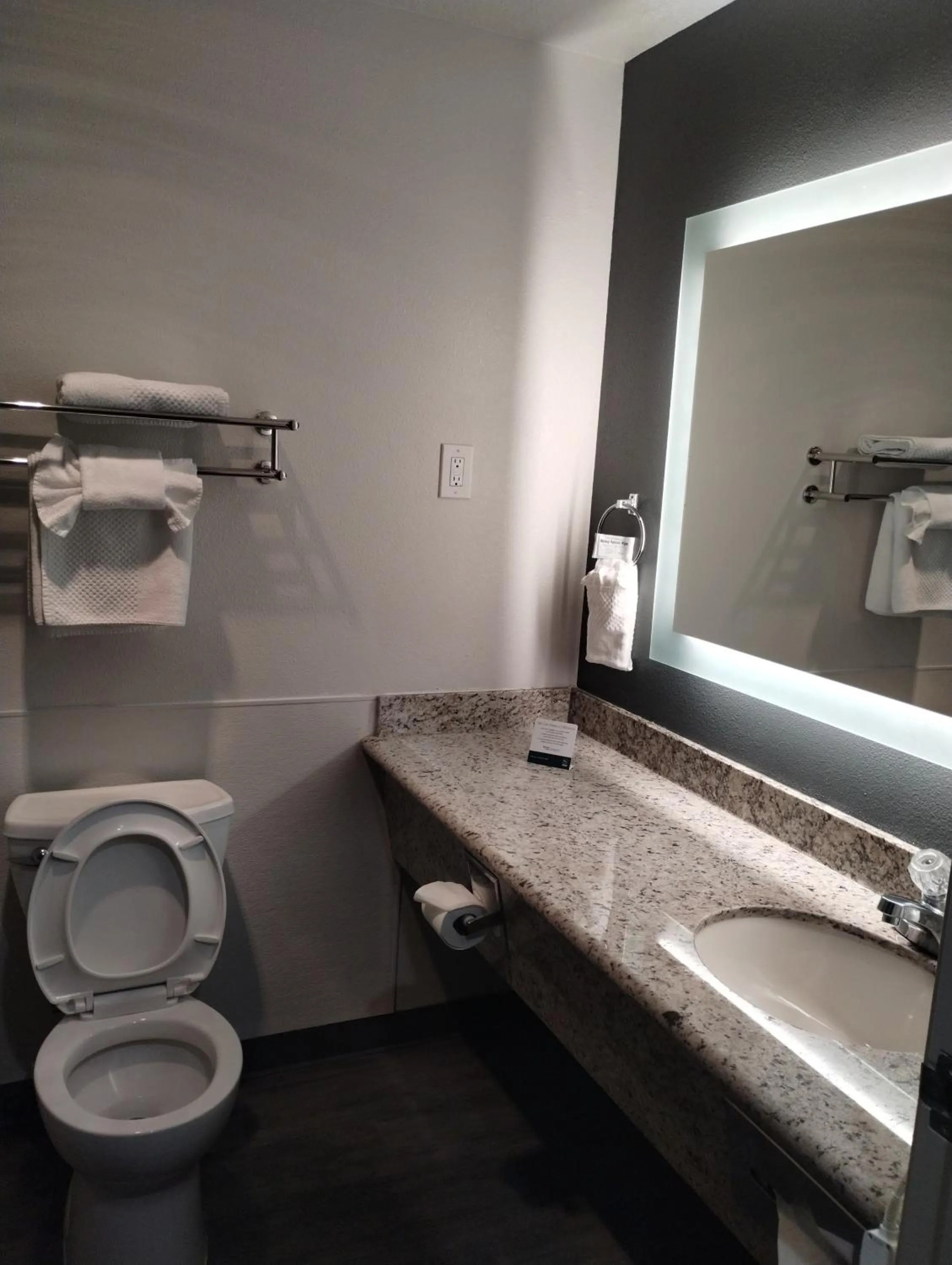 Standard King Room - Non Smoking in Quality Inn & Suites Wilsonville