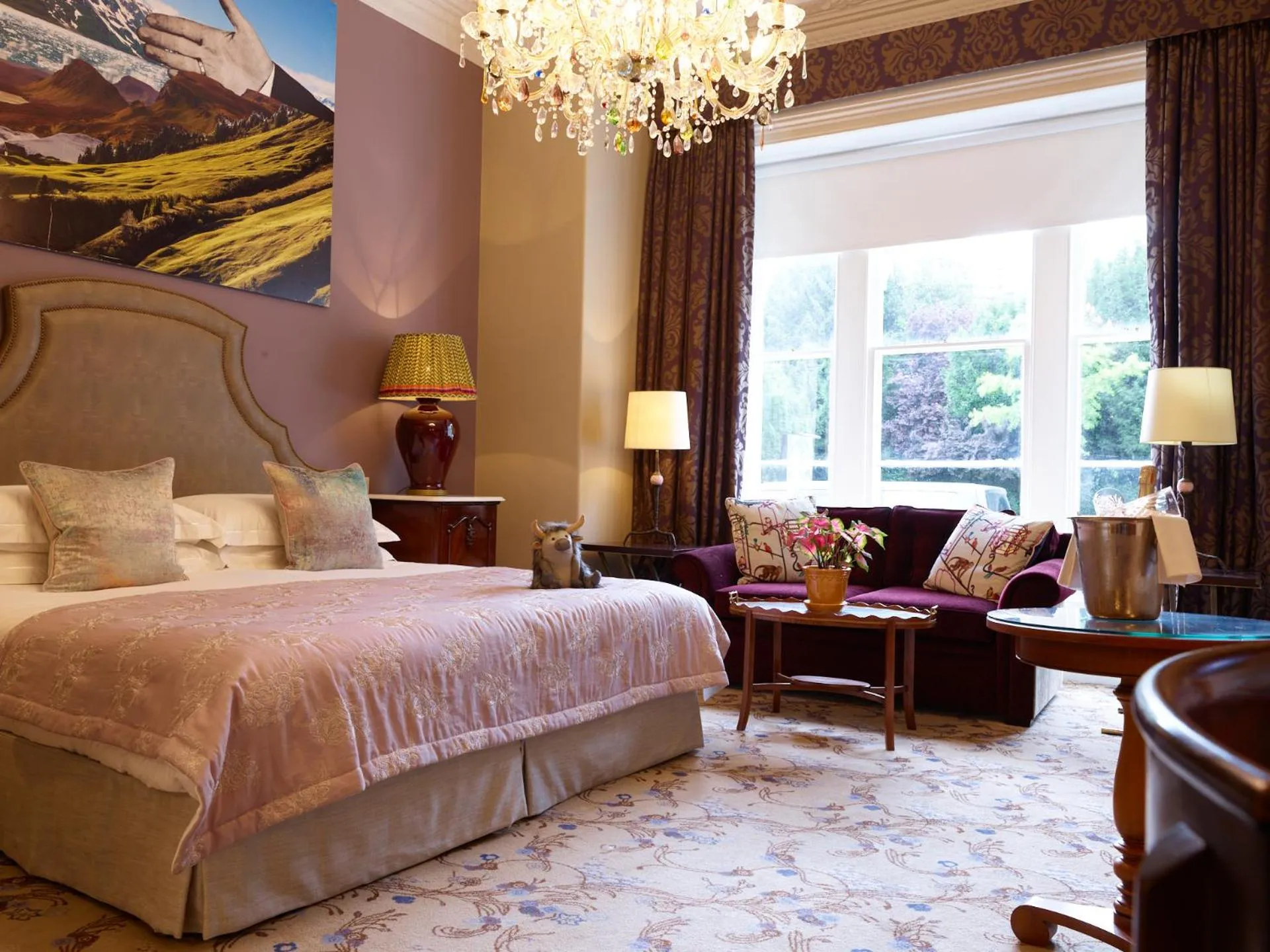 Roomy King in The Bird, Bath