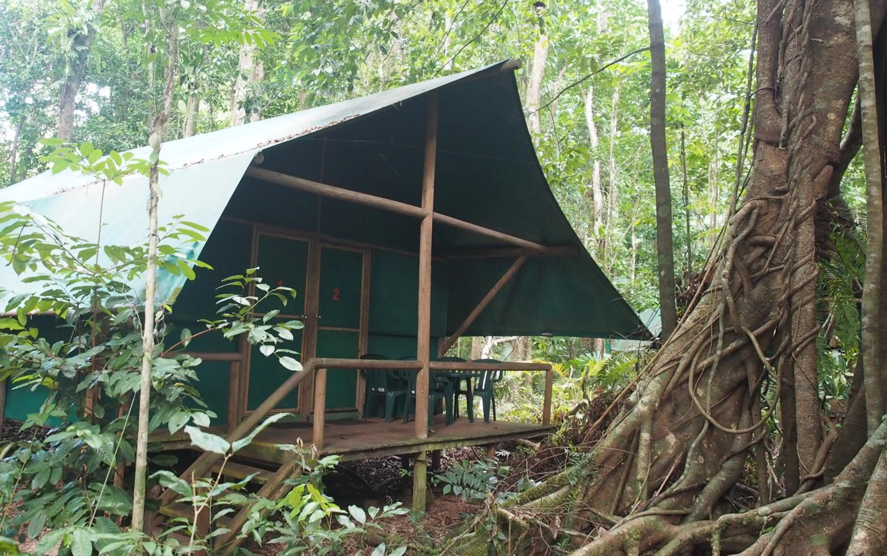 Jungle Double or Twin Room with Shared Bathroom in Daintree Crocodylus