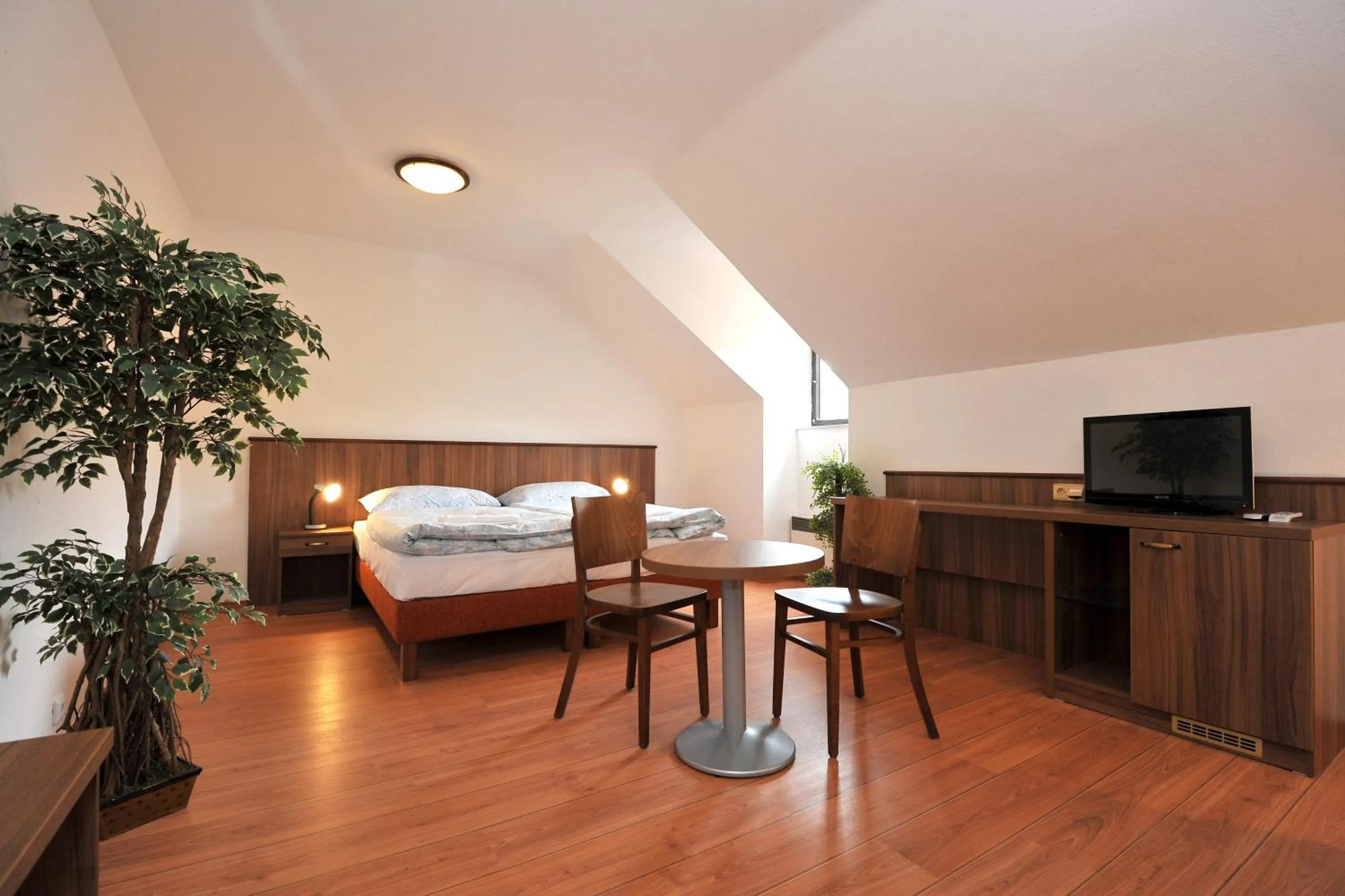 Quadruple Room with Bathroom - single occupancy in Hotel Kácov