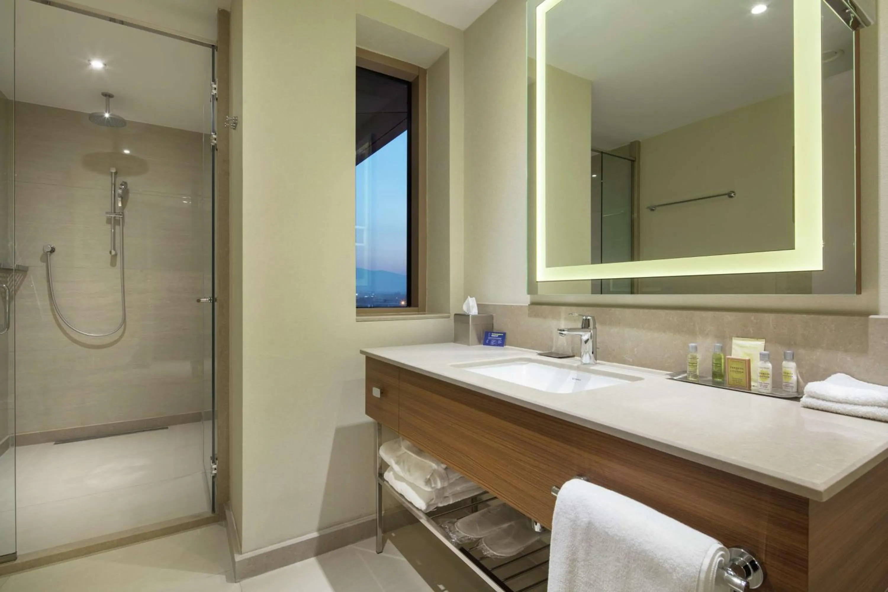 Deluxe King Room in DoubleTree By Hilton Skopje