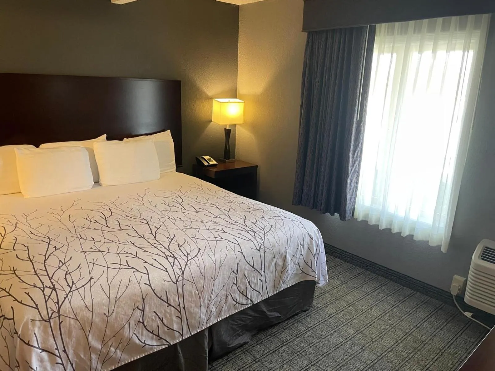 King Bed Suite in Eastlake Suites Hotel & Conference Center By OYO Urbana