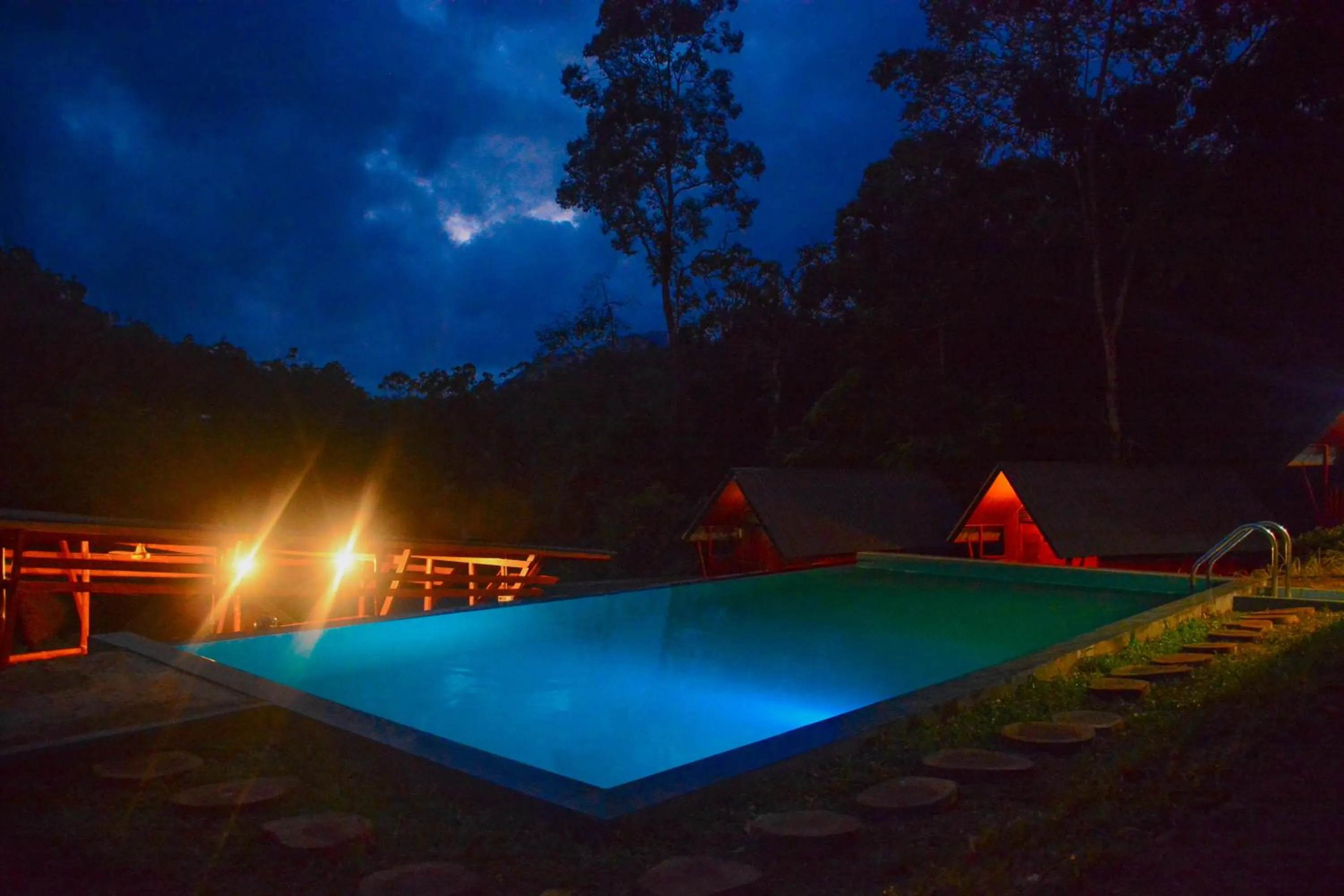 Single Bed in Female Dormitory Room in Sinharaja Forest Gate