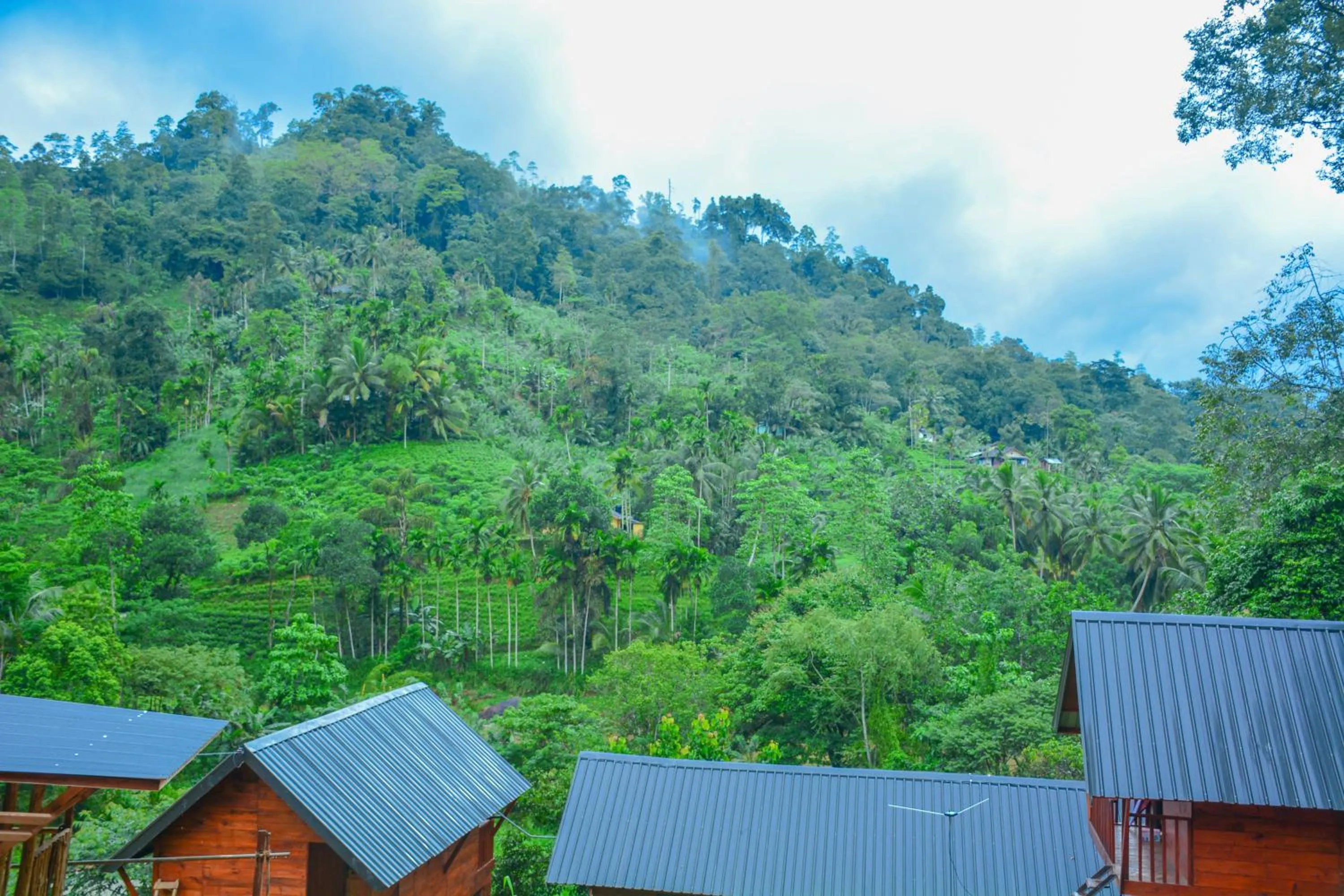 Deluxe Double Room in Sinharaja Forest Gate