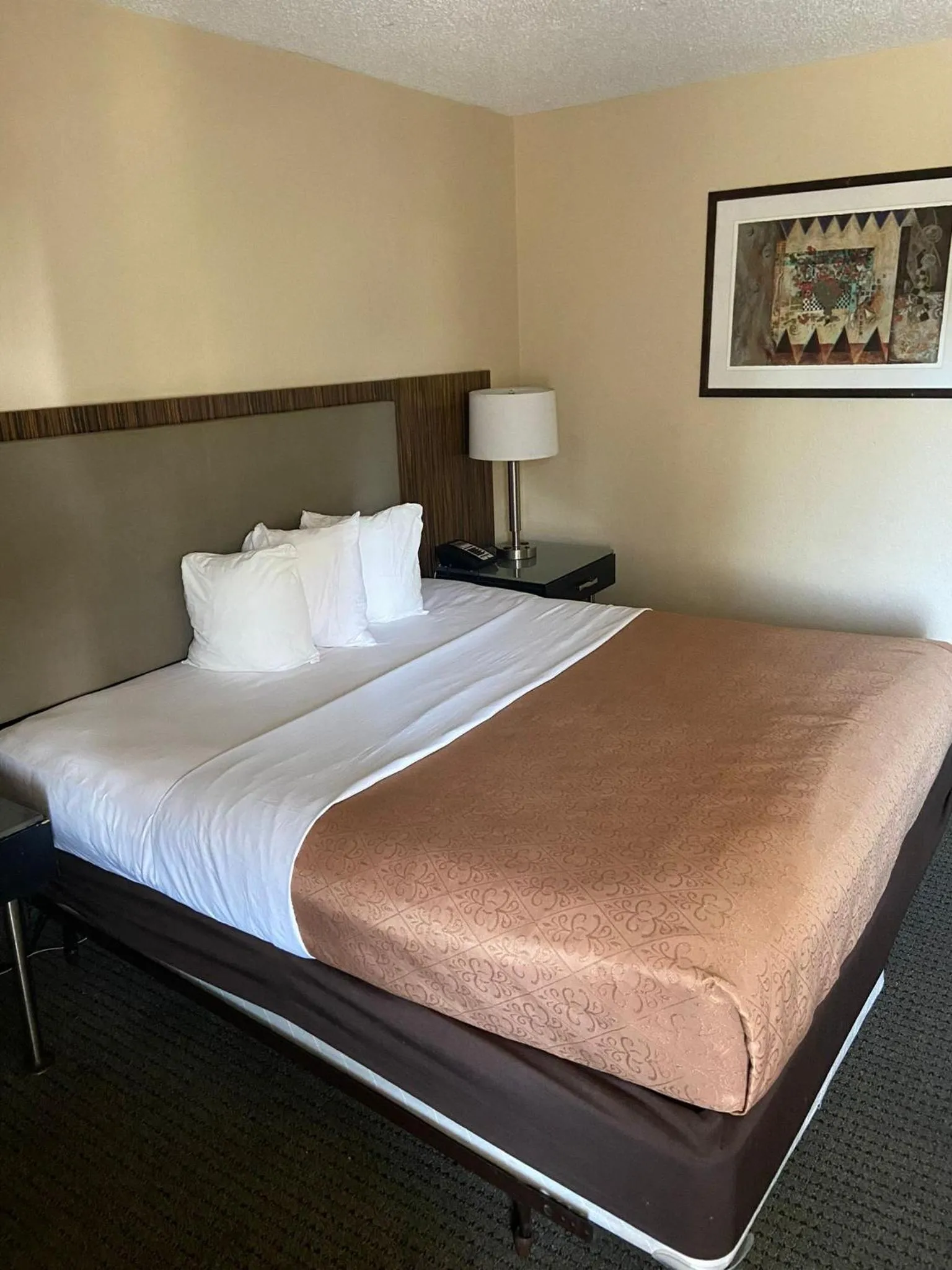 King Room - single occupancy - Disability Access/Non-Smoking in BlissPoint Inn Northwest Indianapolis