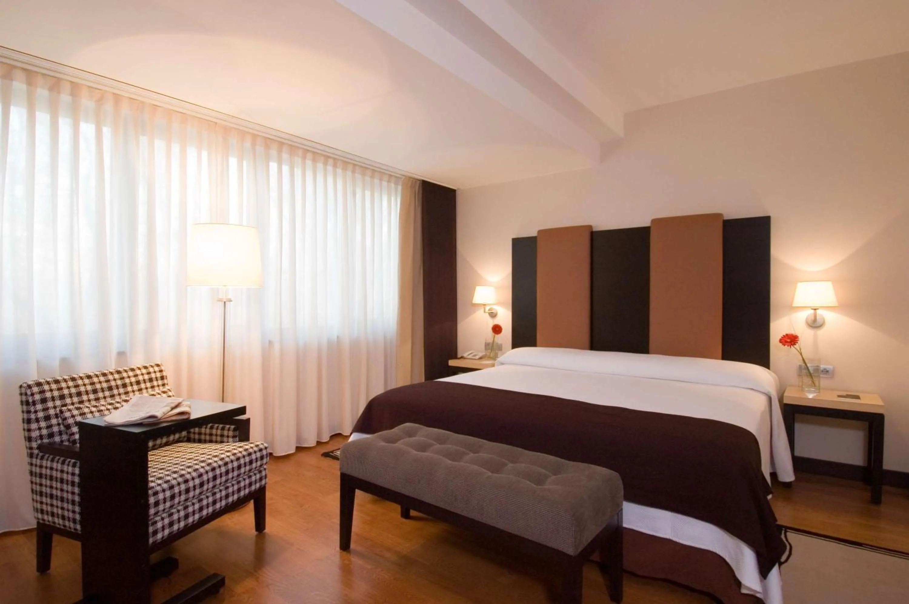 Standard Double or Twin Room with  View in NH Timisoara