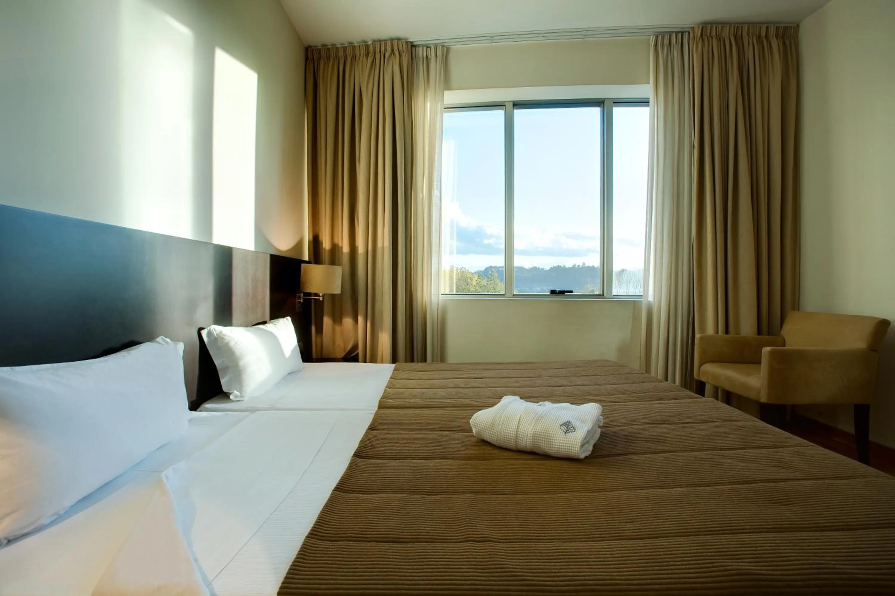 Double or Twin Room in Hotel Conde de Agueda