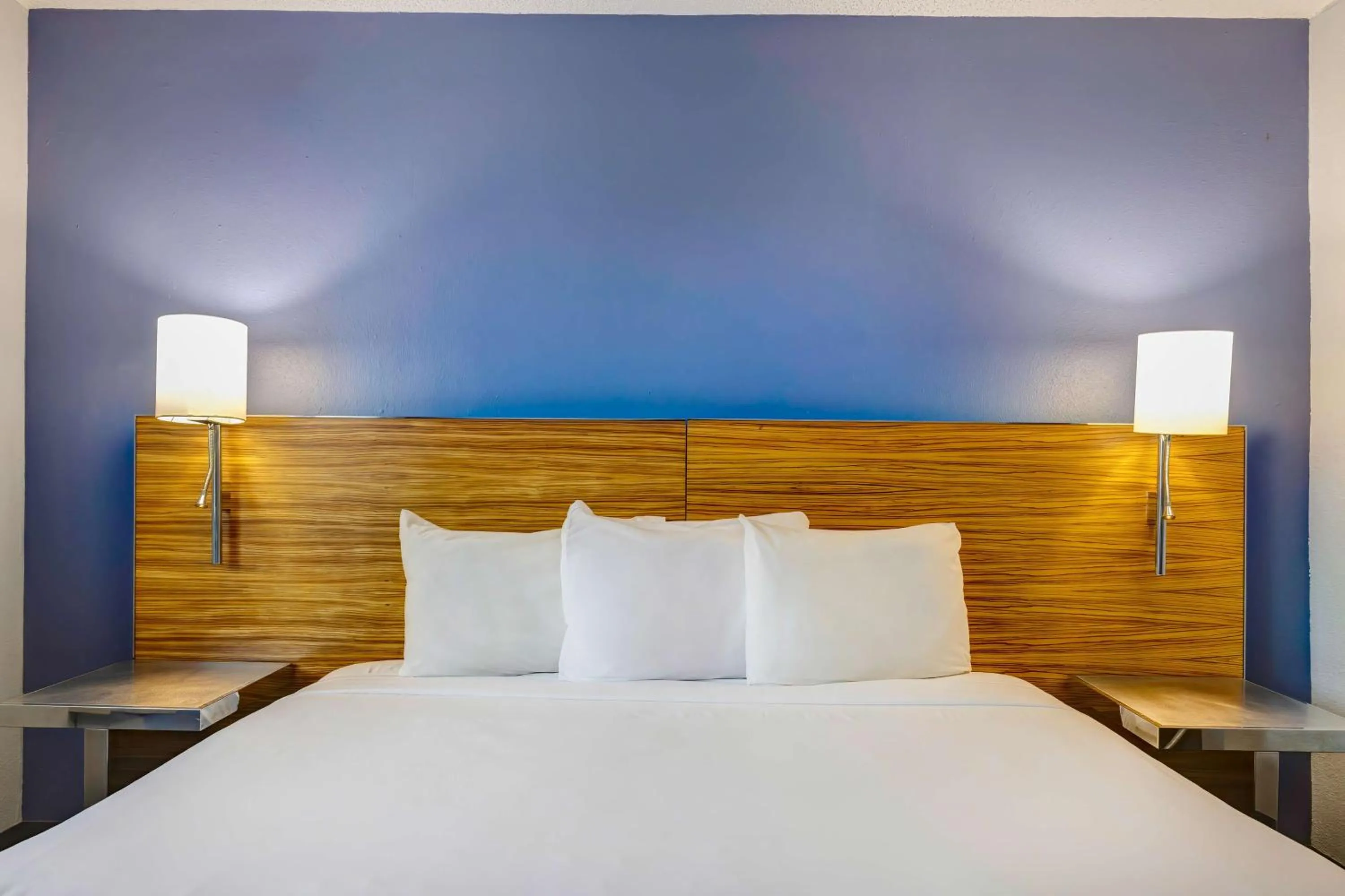 King Room with Roll-in Shower - Disability Access - Non-Smoking in Motel 6 Arlington TX Entertainment District