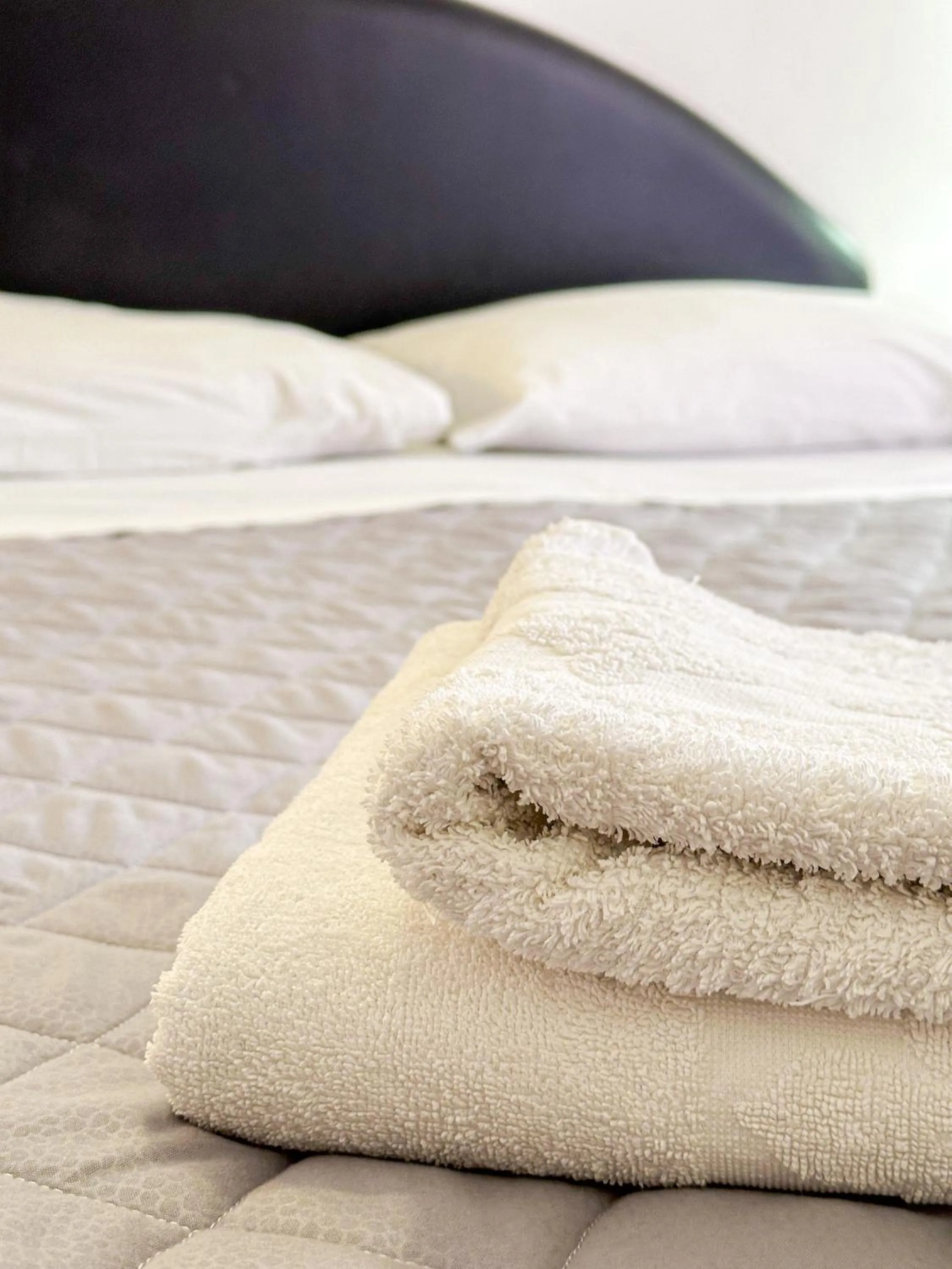 Standard Double or Twin Room with Balcony in Hotel Stradiot