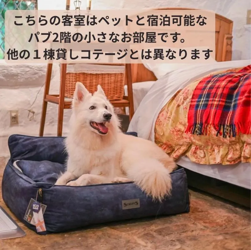 Economy Twin Room in Dreamton Village