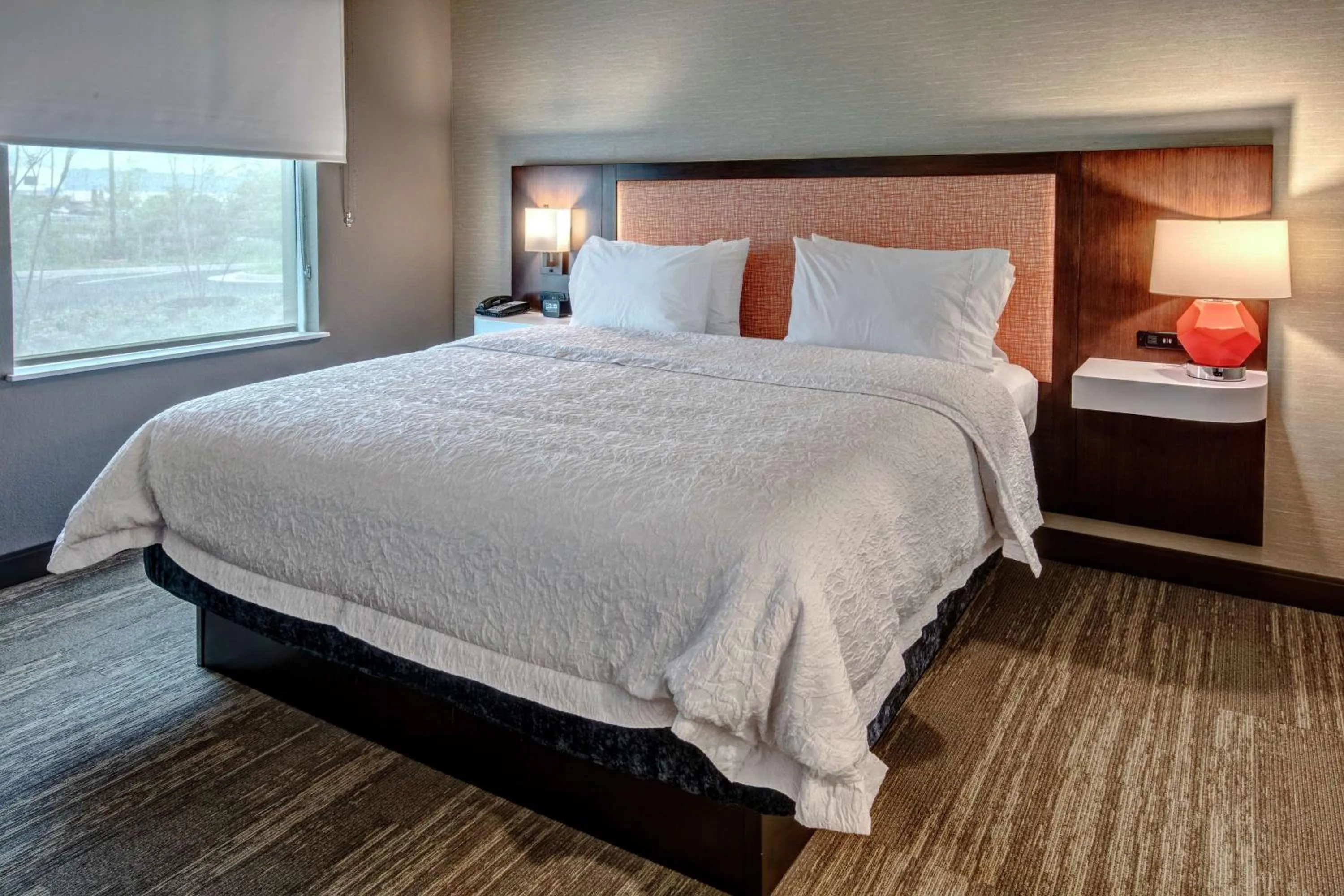 King Studio Suite in Hampton Inn & Suites Culpeper
