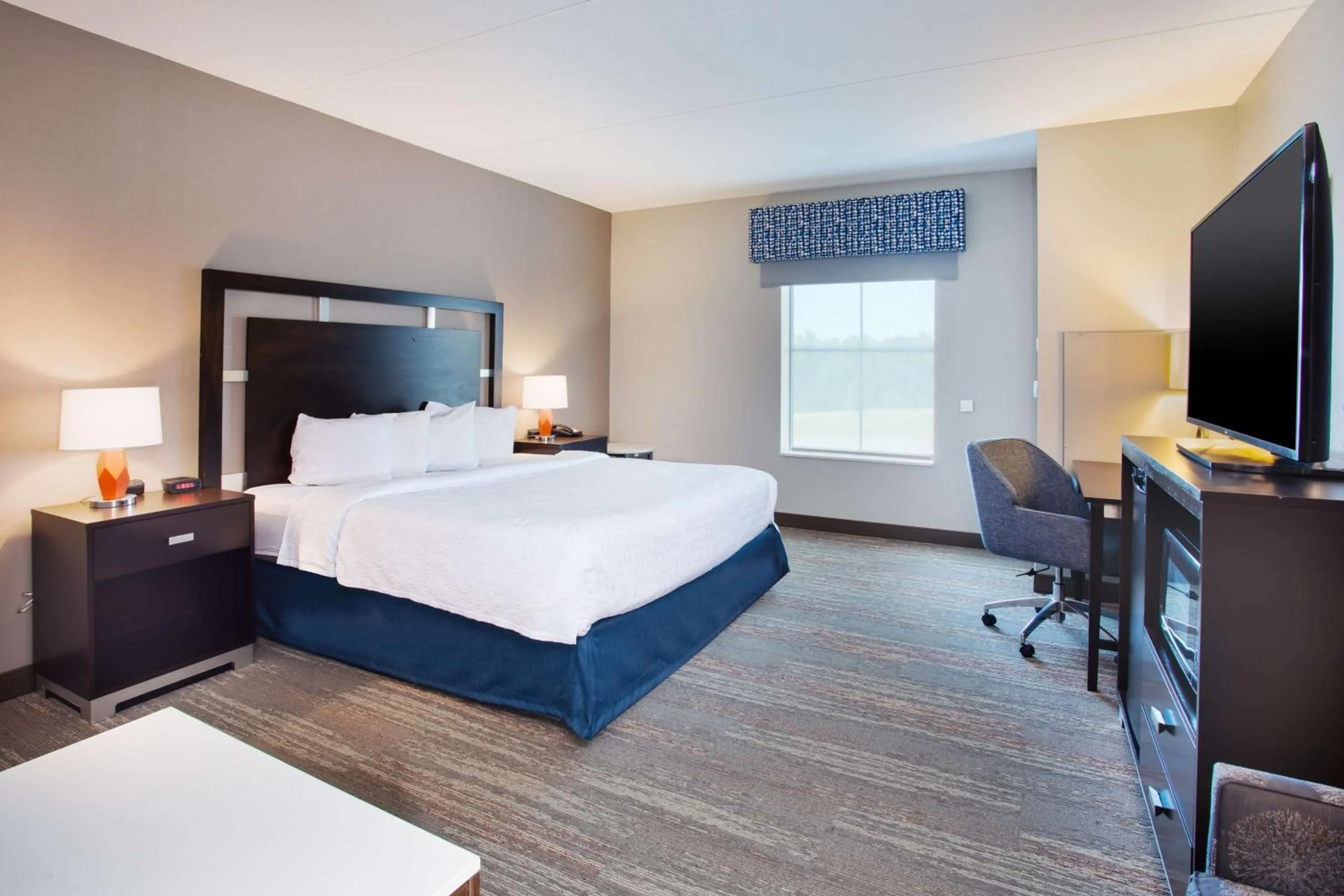 King Room with King Bed - Non-Smoking in Hampton Inn & Suites Columbia/Southeast-Fort Jackson