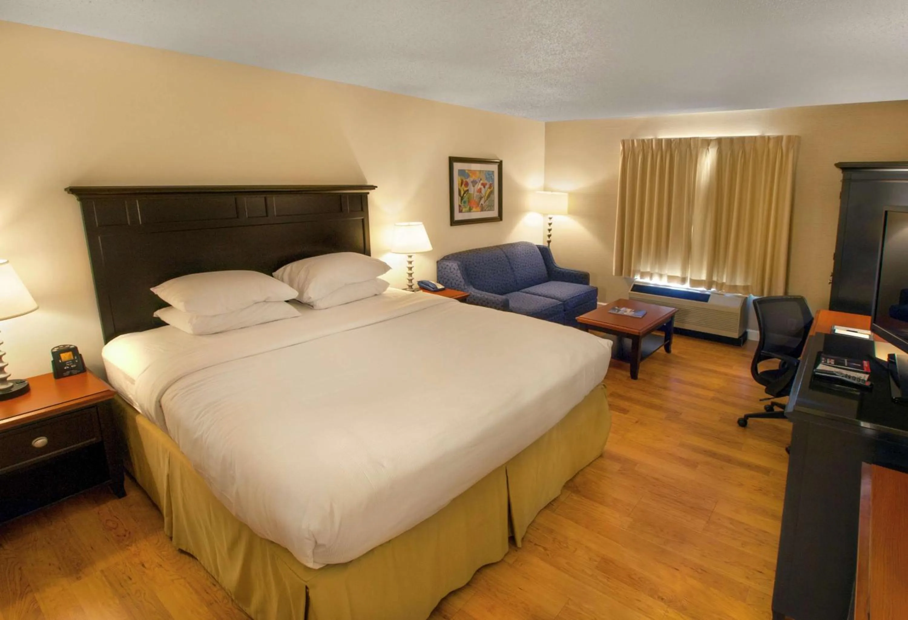 King Room with Sofa Bed - Non-Smoking in DoubleTree by Hilton Buffalo-Amherst