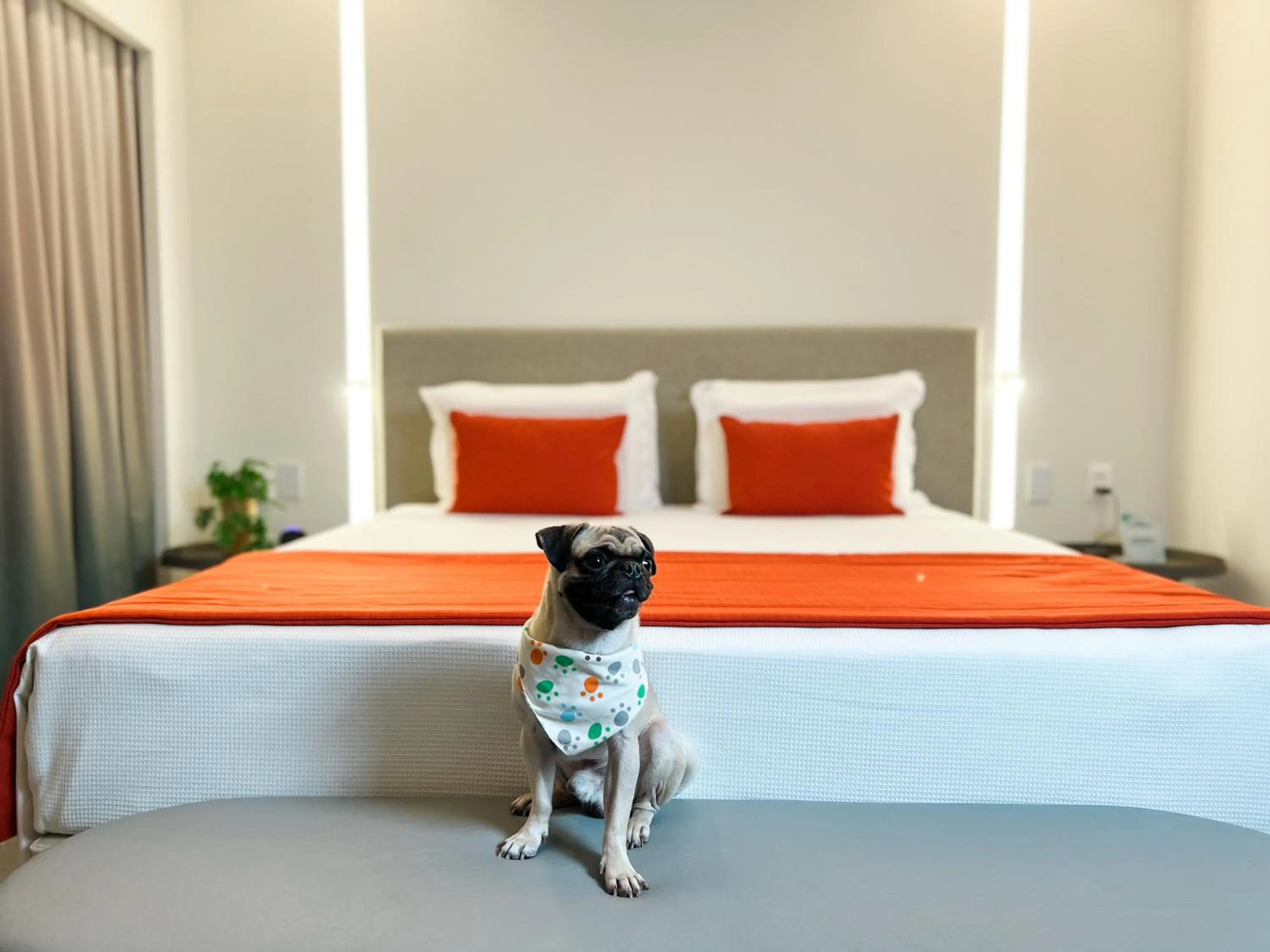 Garden Exclusive in Japaratinga Lounge Resort - All Inclusive