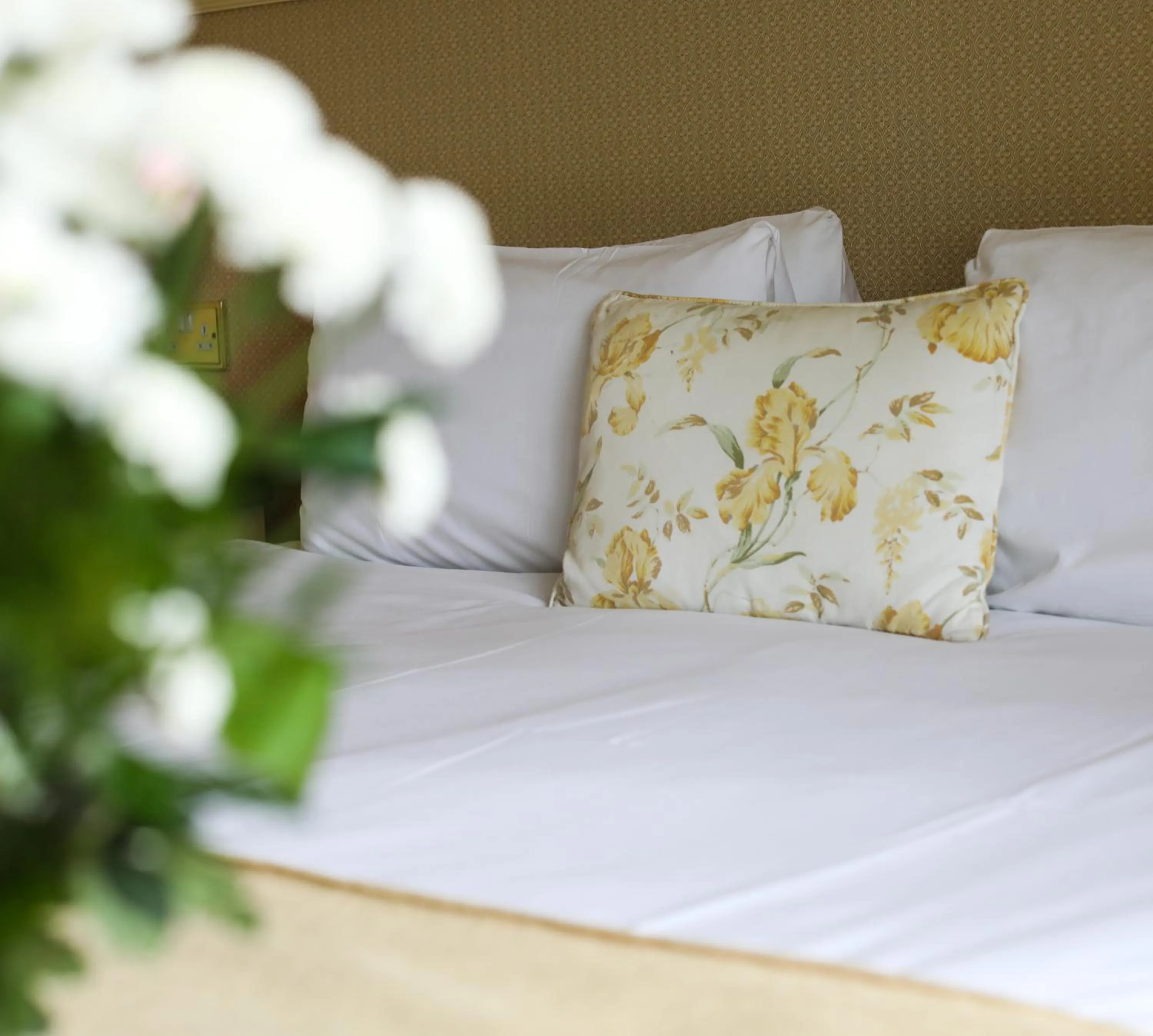 Classic Twin Room in Killeen House Hotel