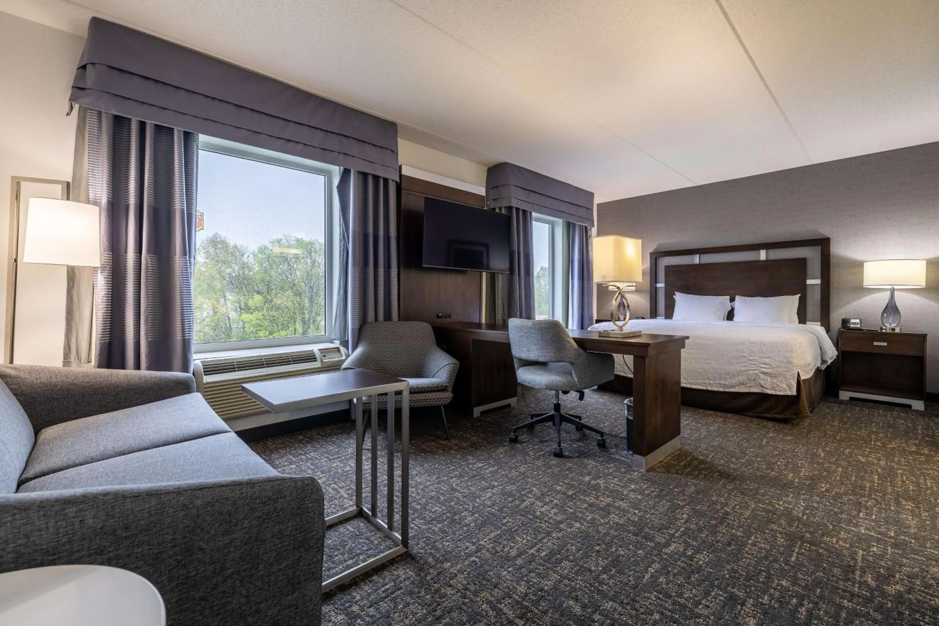 King Studio Suite - Non-Smoking in Hampton Inn & Suites Greensboro/Coliseum Area