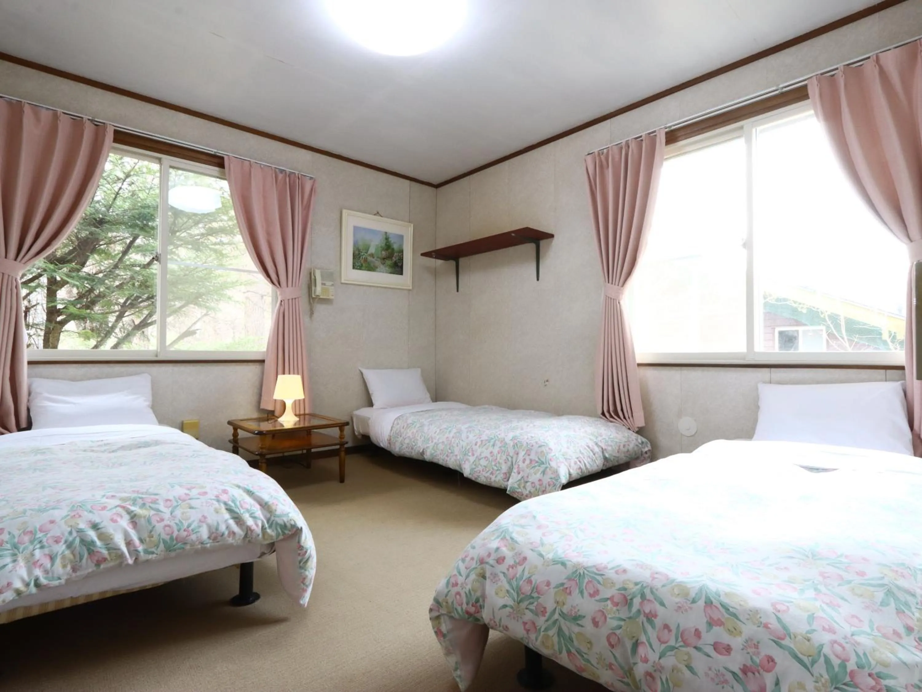 Triple Room with Shared Toilet - single occupancy in Pension Peppermint House