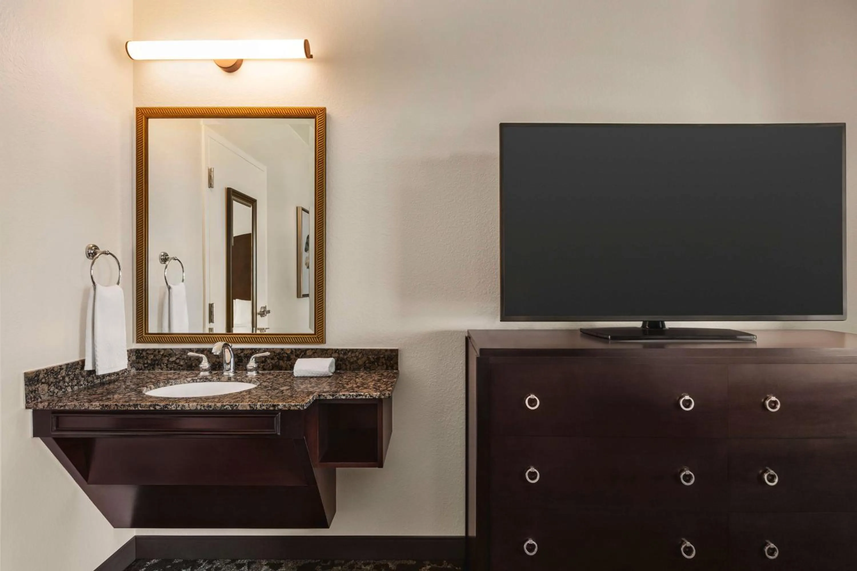 Deluxe One-Bedroom King Suite - Hearing Accessible/Non-Smoking in Embassy Suites by Hilton Orlando Lake Buena Vista South