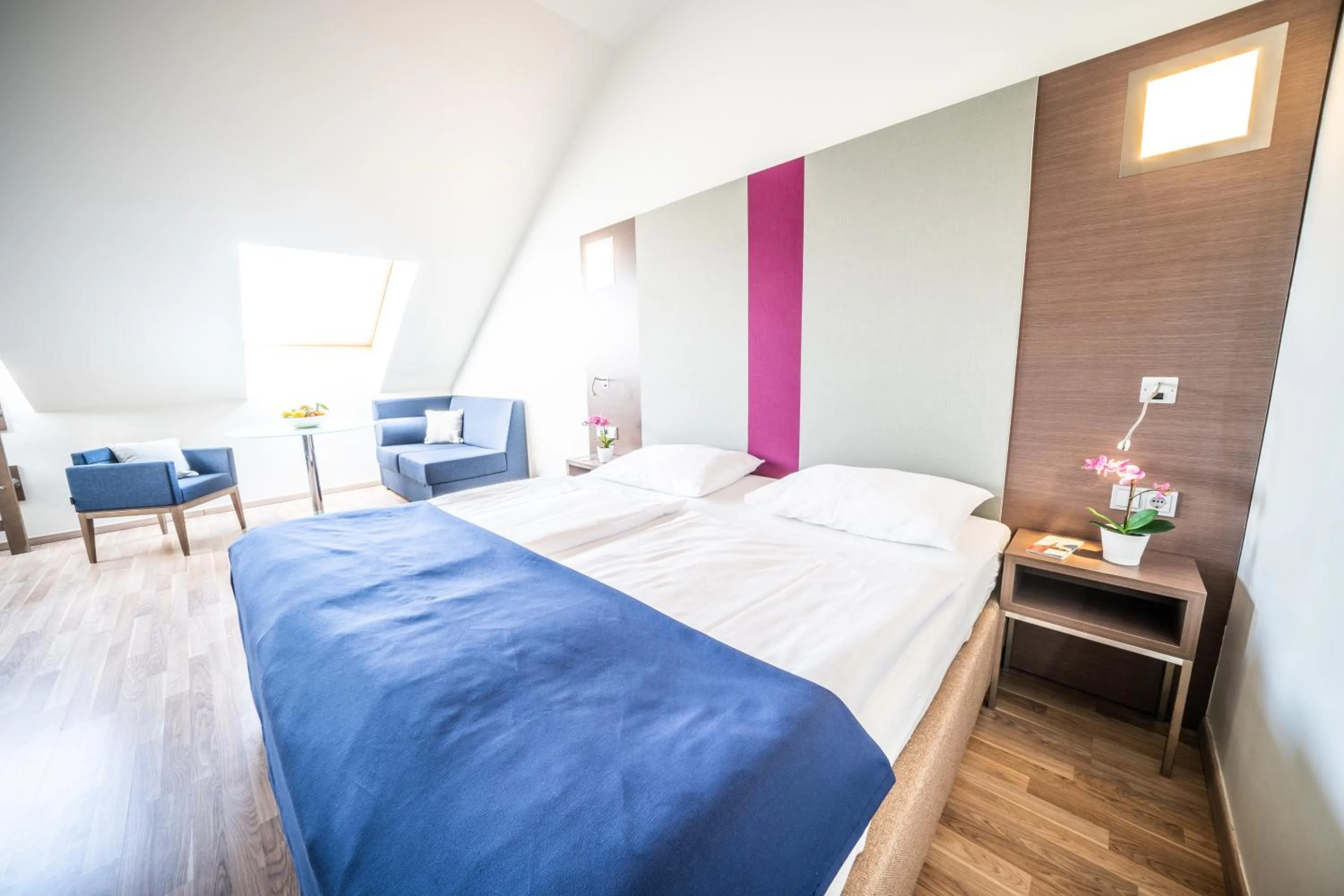 Junior Suite in Hotel Orangerie