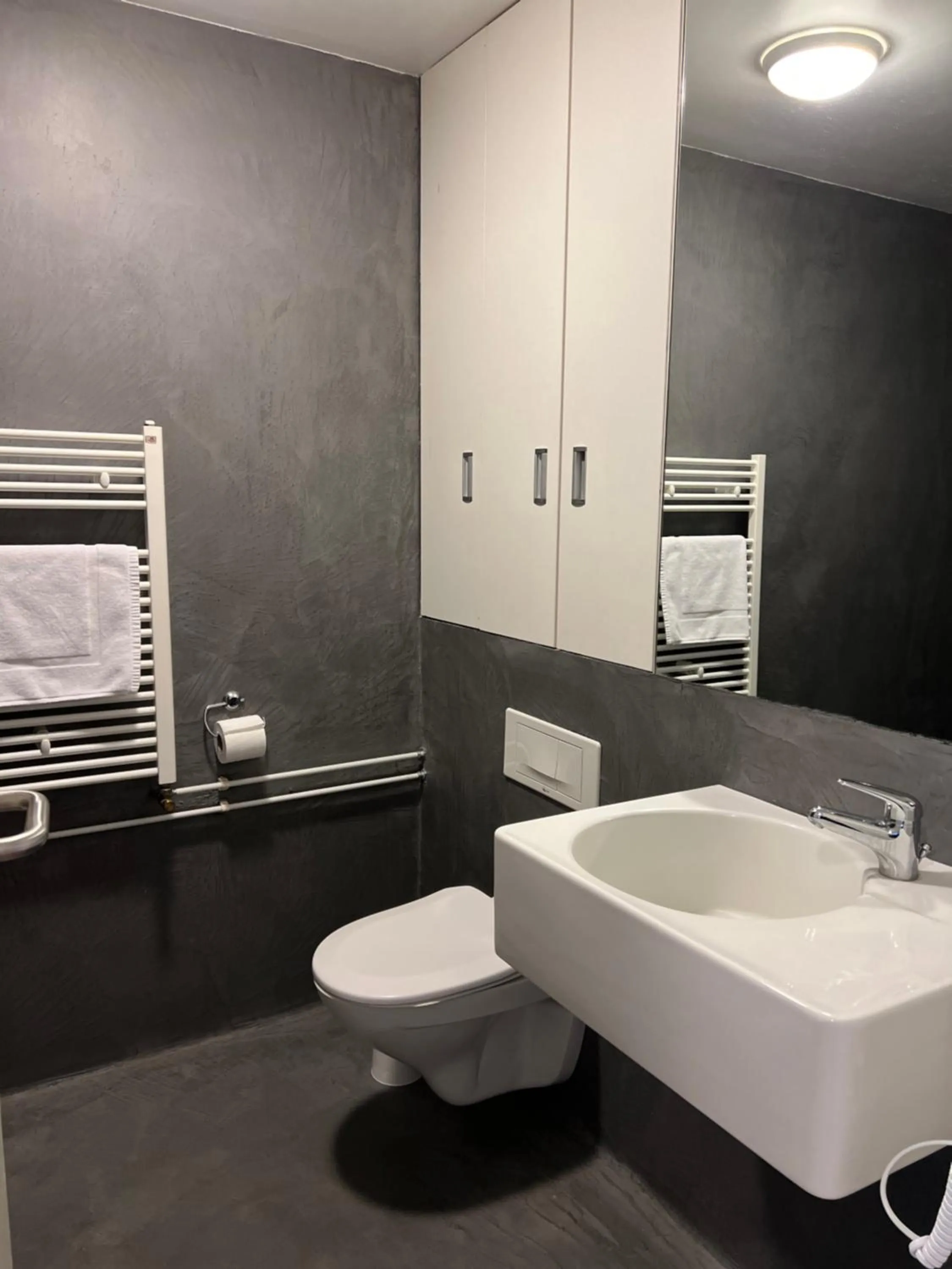 Double Room in Hótel Bifröst