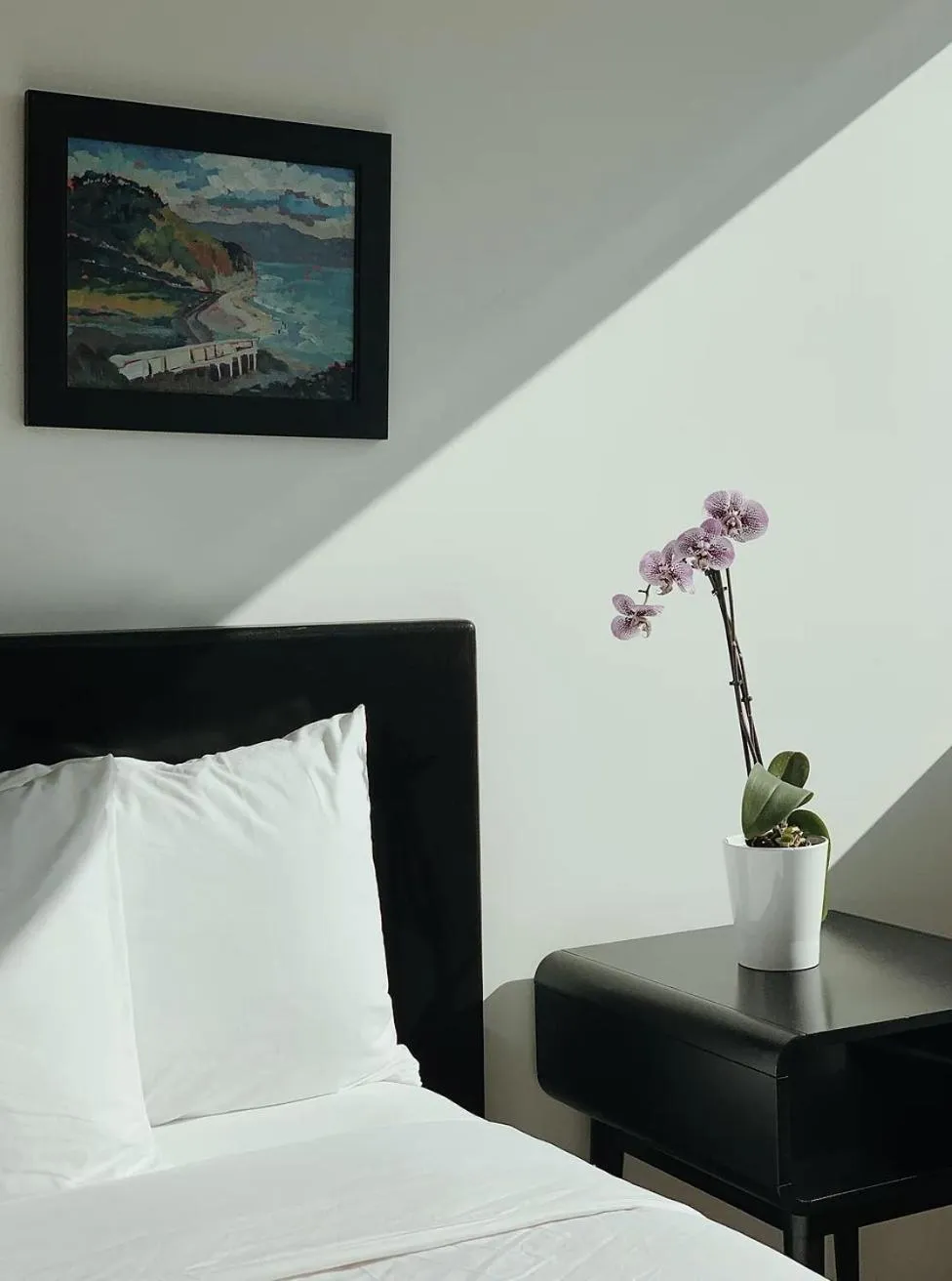 Studio - Disability Access in Abpopa Hillcrest