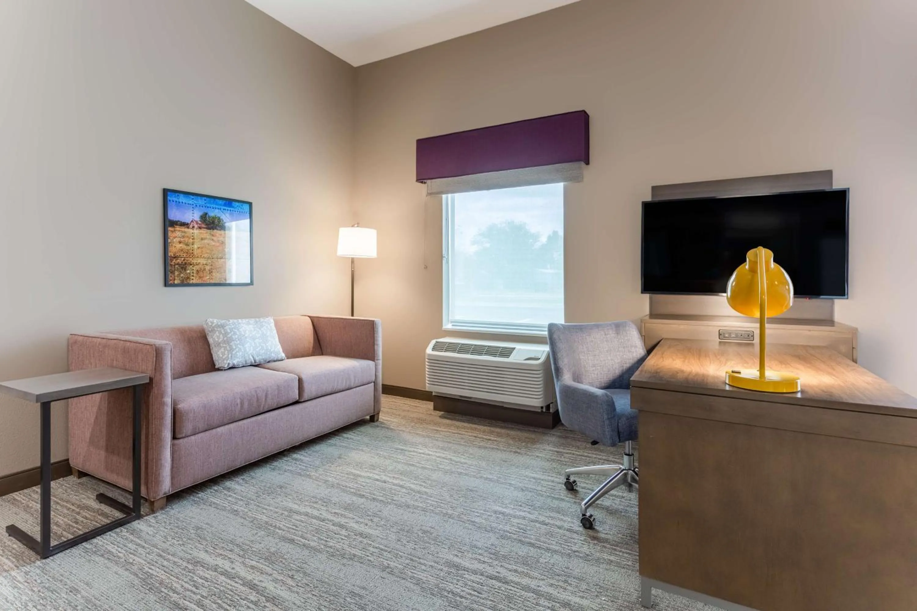 King Room with Roll-In Shower - Mobility and Hearing Access/Non-Smoking in Hampton Inn And Suites Guymon