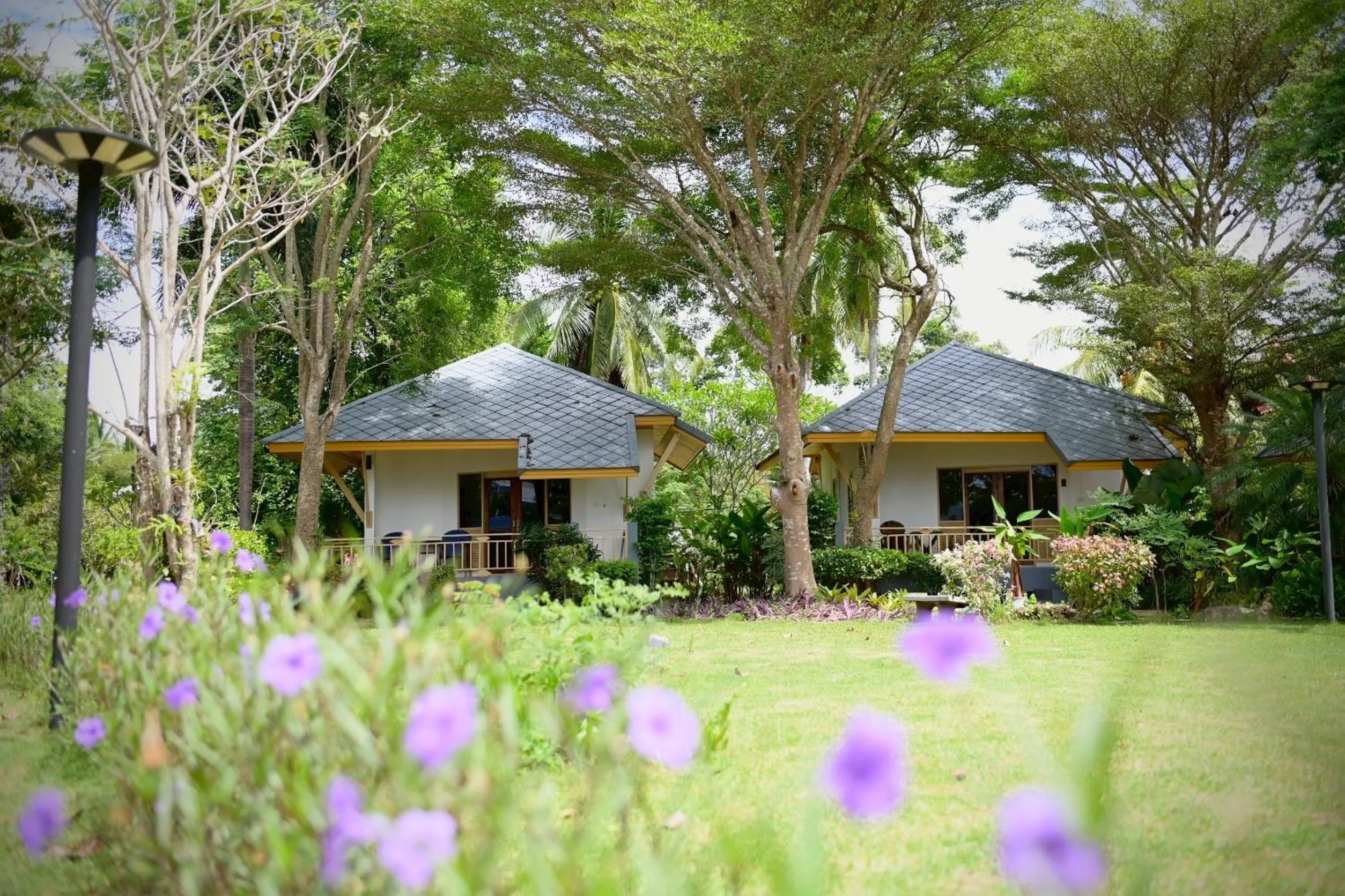 Deluxe Double Bungalow in Saphli Villa