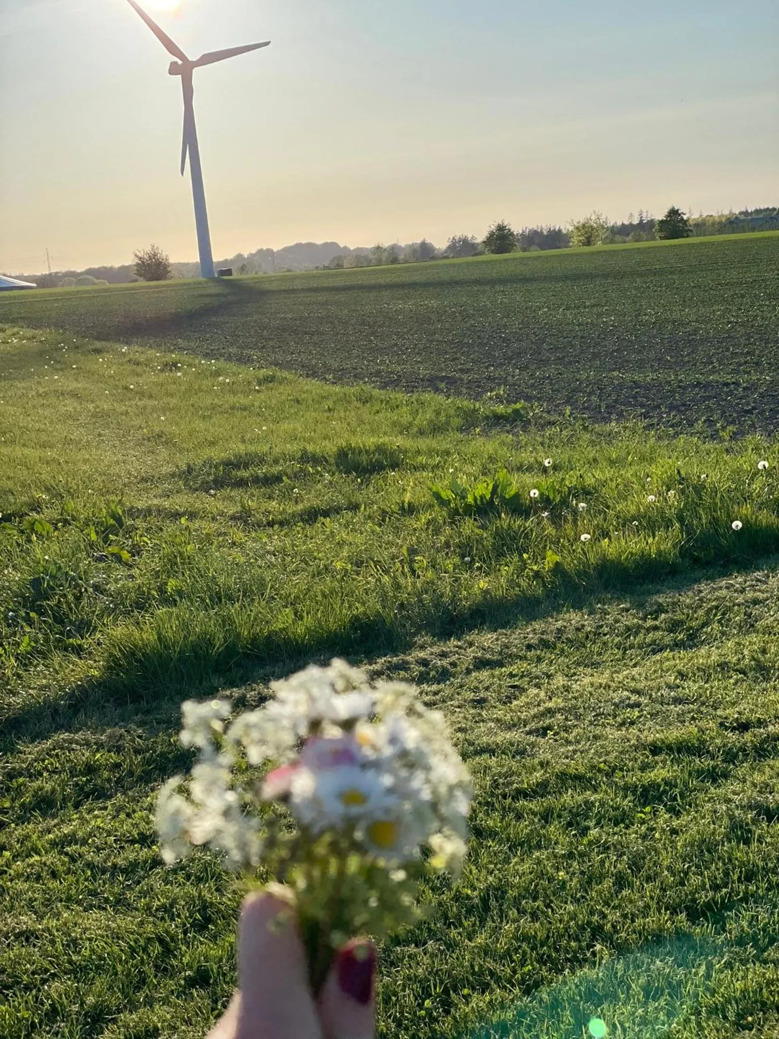 Apartment in Bremsmaj Farm Holiday