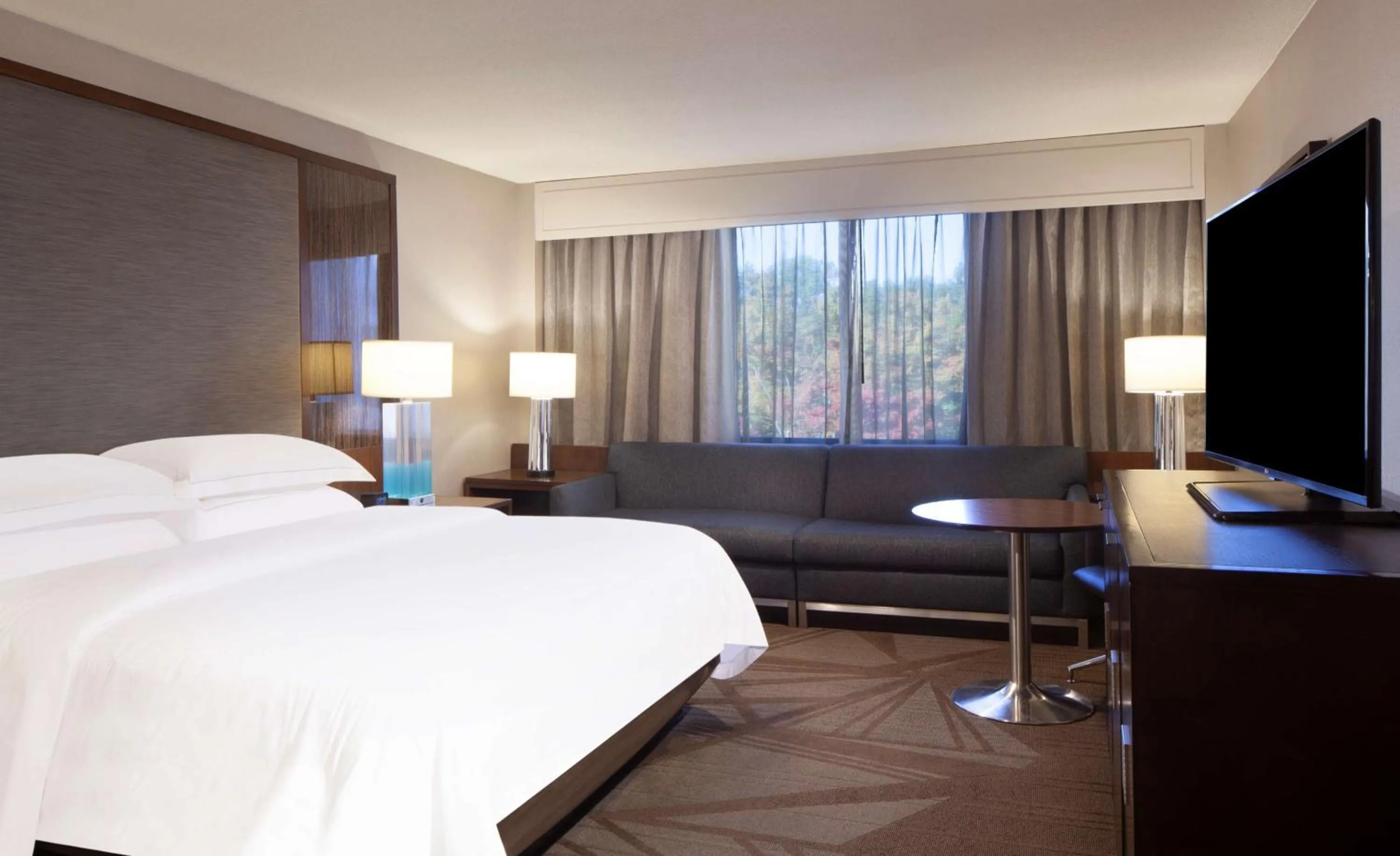 King Room in Hilton Parsippany