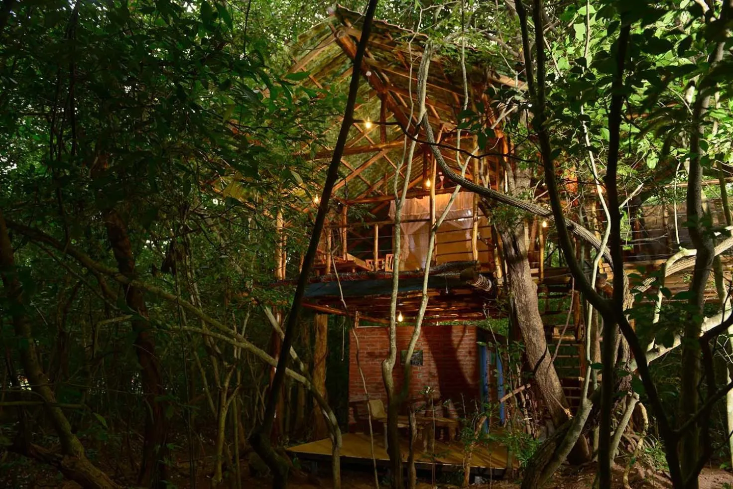 Family Tree House in Back of Beyond - Pidurangala