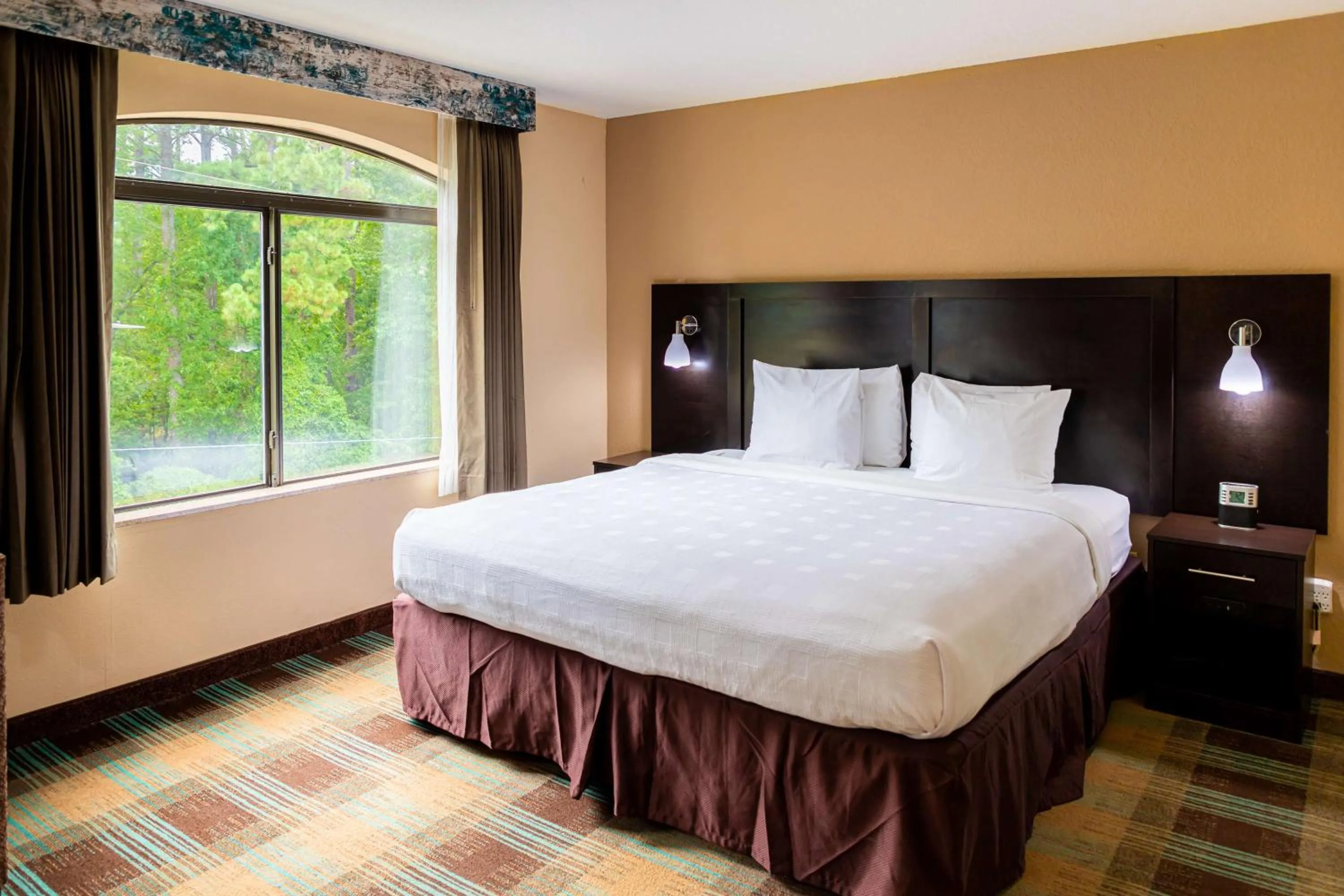 King Room in Best Western Plus North Savannah