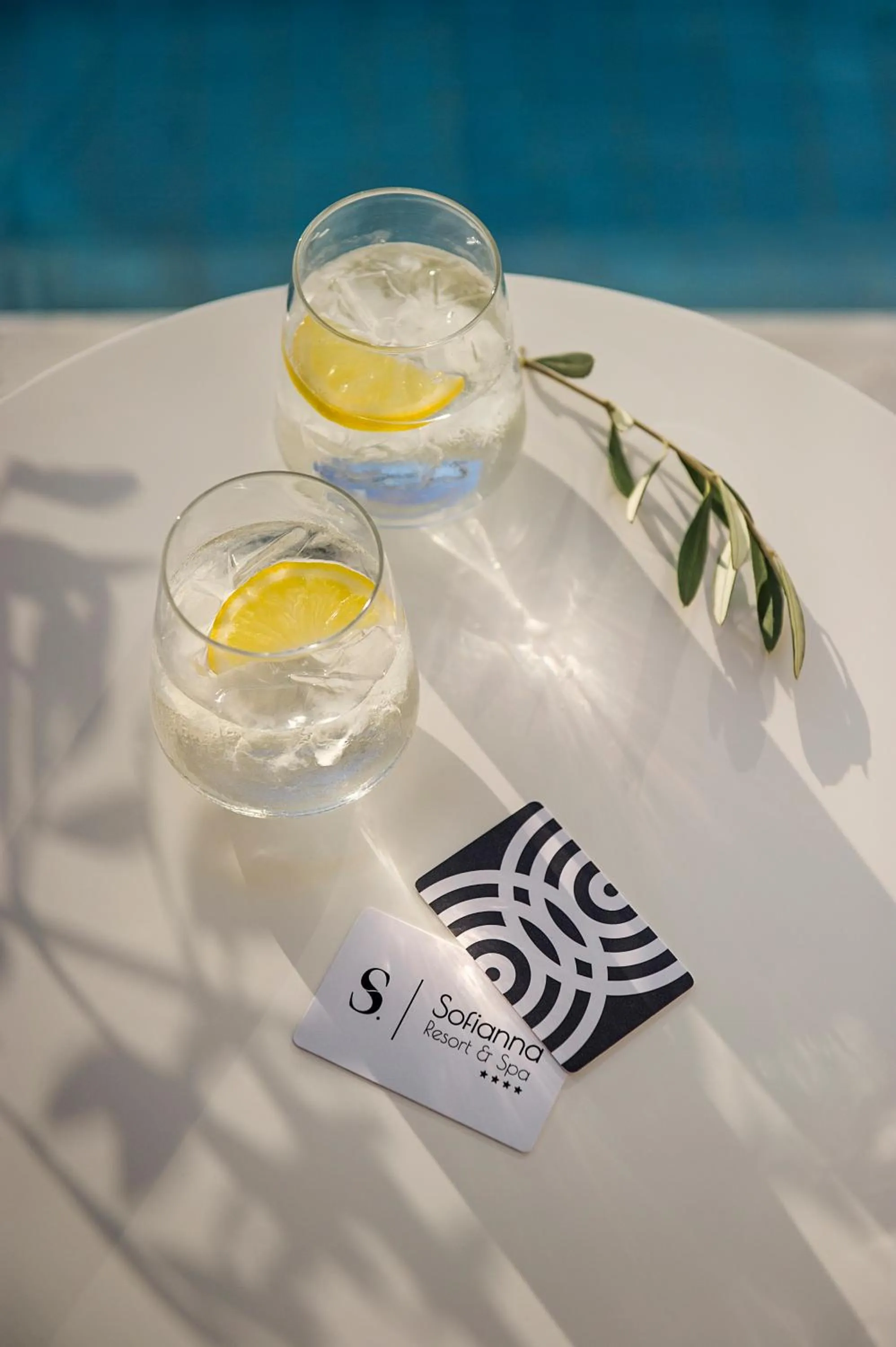 Junior Suite Swim-up in Sofianna Resort & Spa