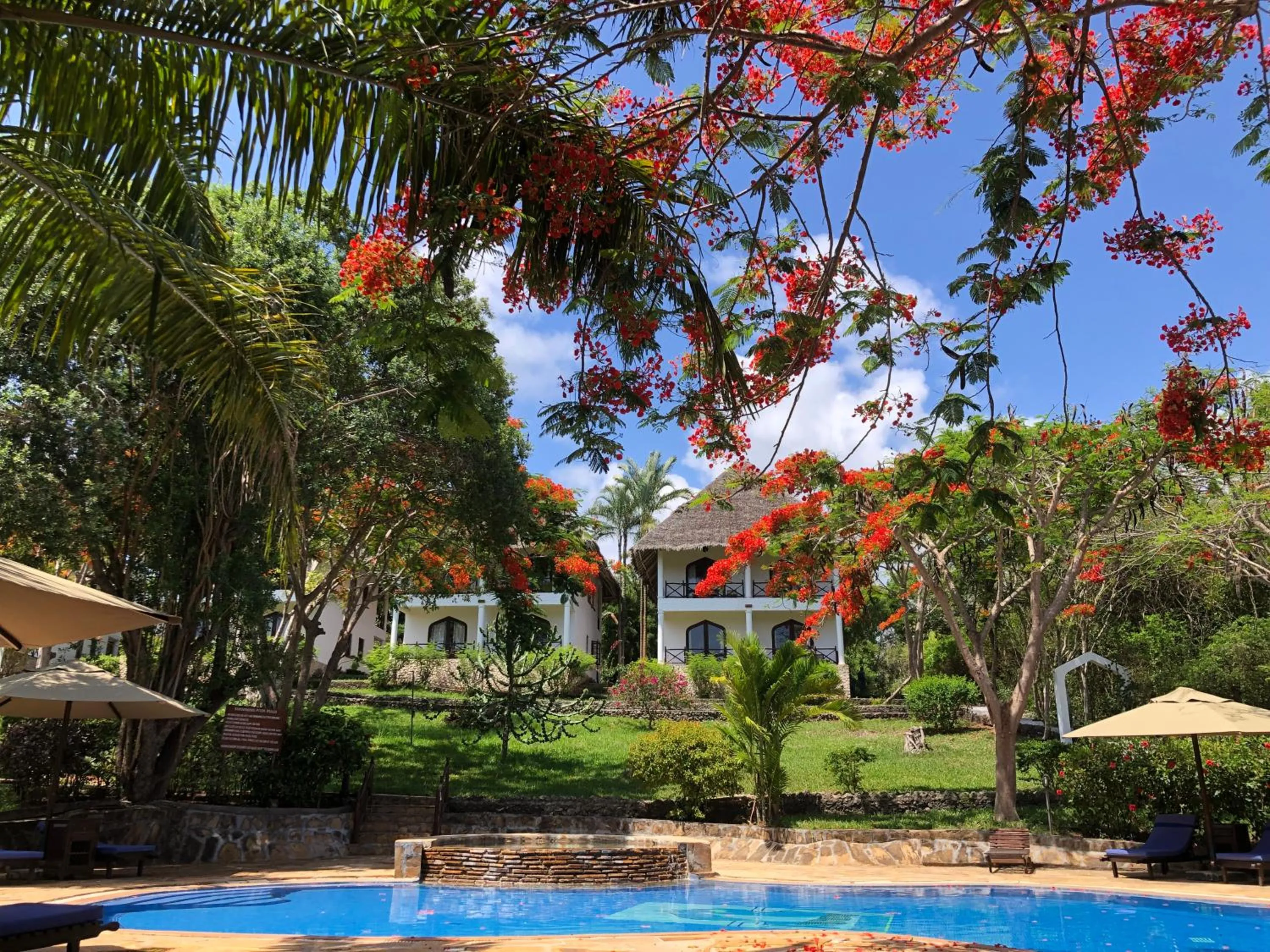 Club Room With Pool View - single occupancy in Bluebay Beach Resort & Spa