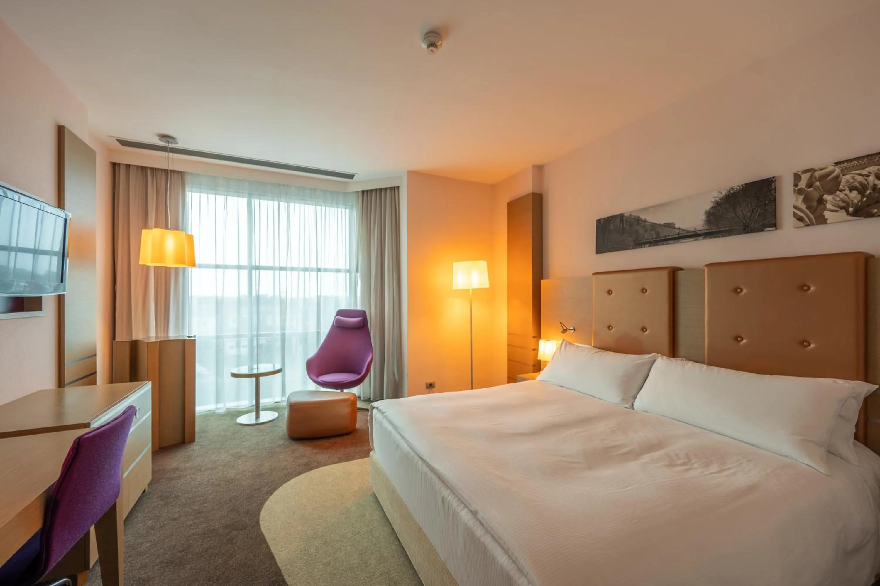 King Room with View - single occupancy in DoubleTree by Hilton Oradea