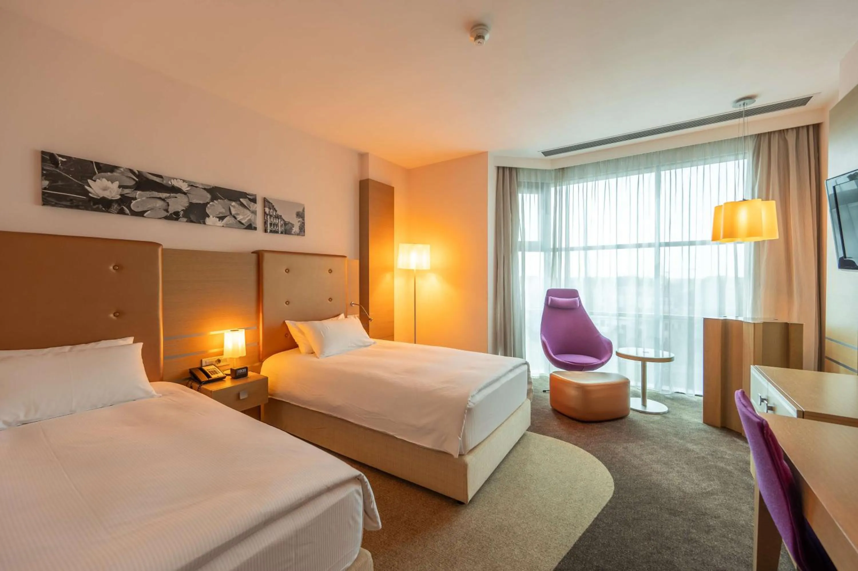Twin Room - single occupancy in DoubleTree by Hilton Oradea