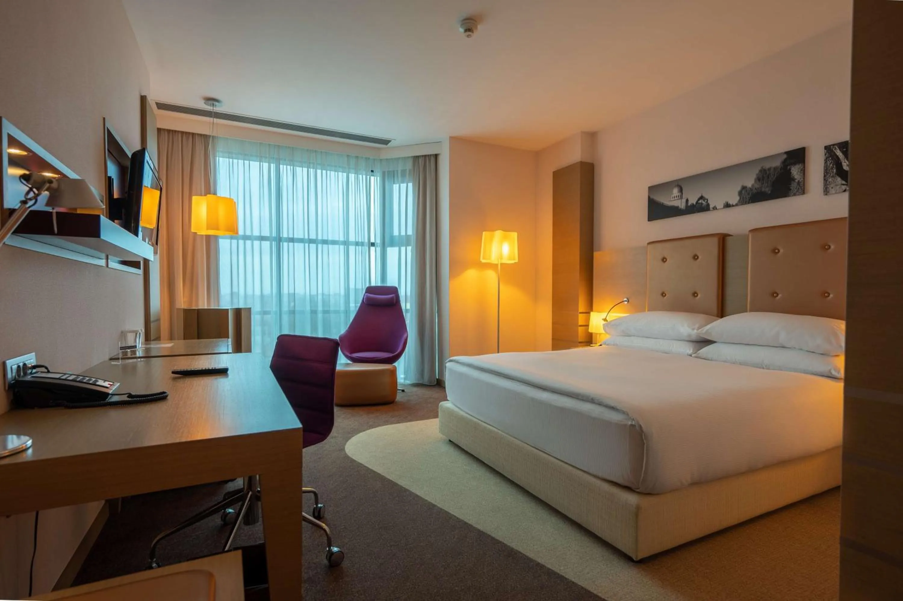 King Room - single occupancy - Mobility Access in DoubleTree by Hilton Oradea