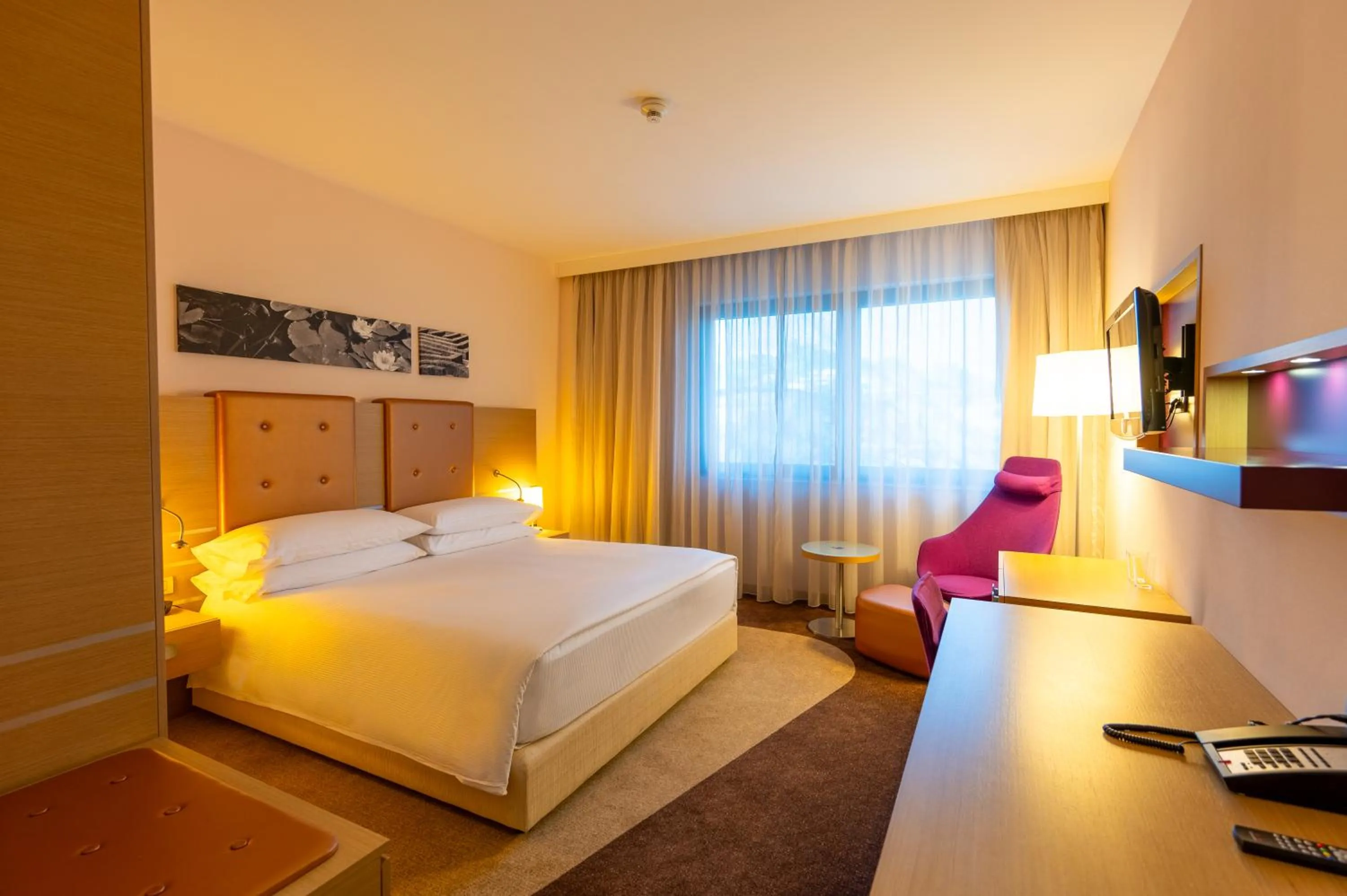 King Guest Room - single occupancy in DoubleTree by Hilton Oradea