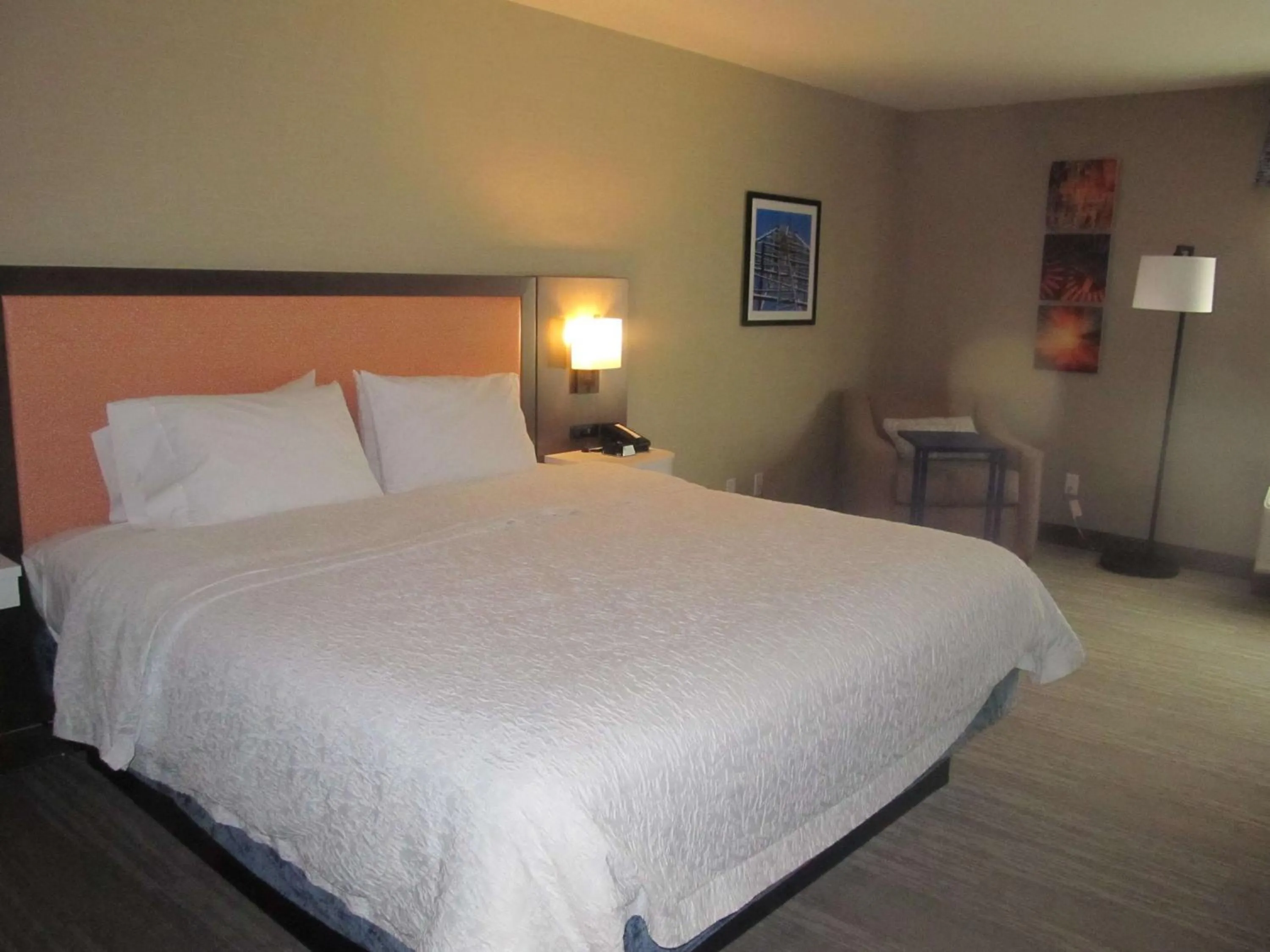 King Room with Shower Only - Non-Smoking in Hampton Inn El Dorado