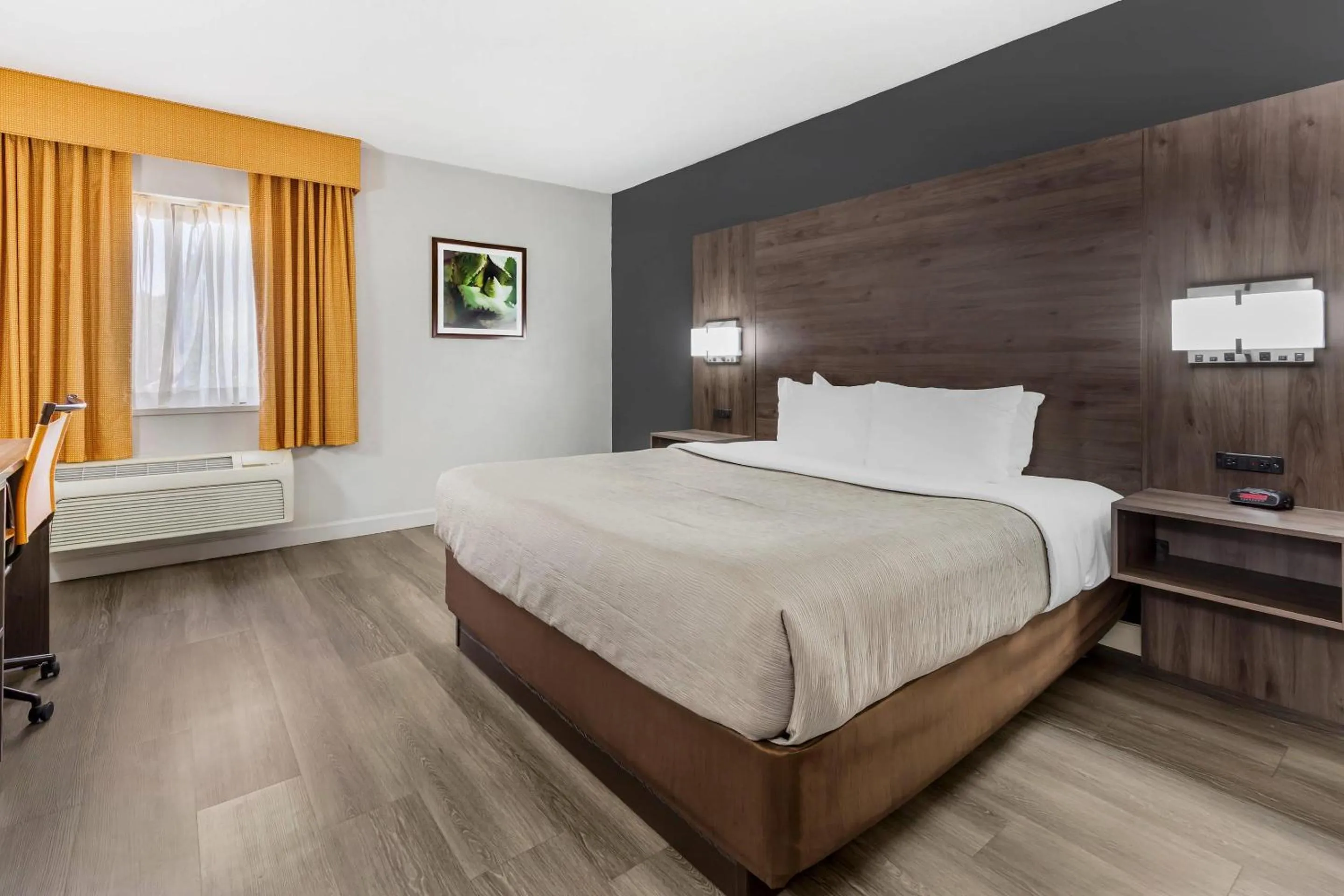 King Room - Non-Smoking in Quality Inn & Suites Raleigh Durham Airport