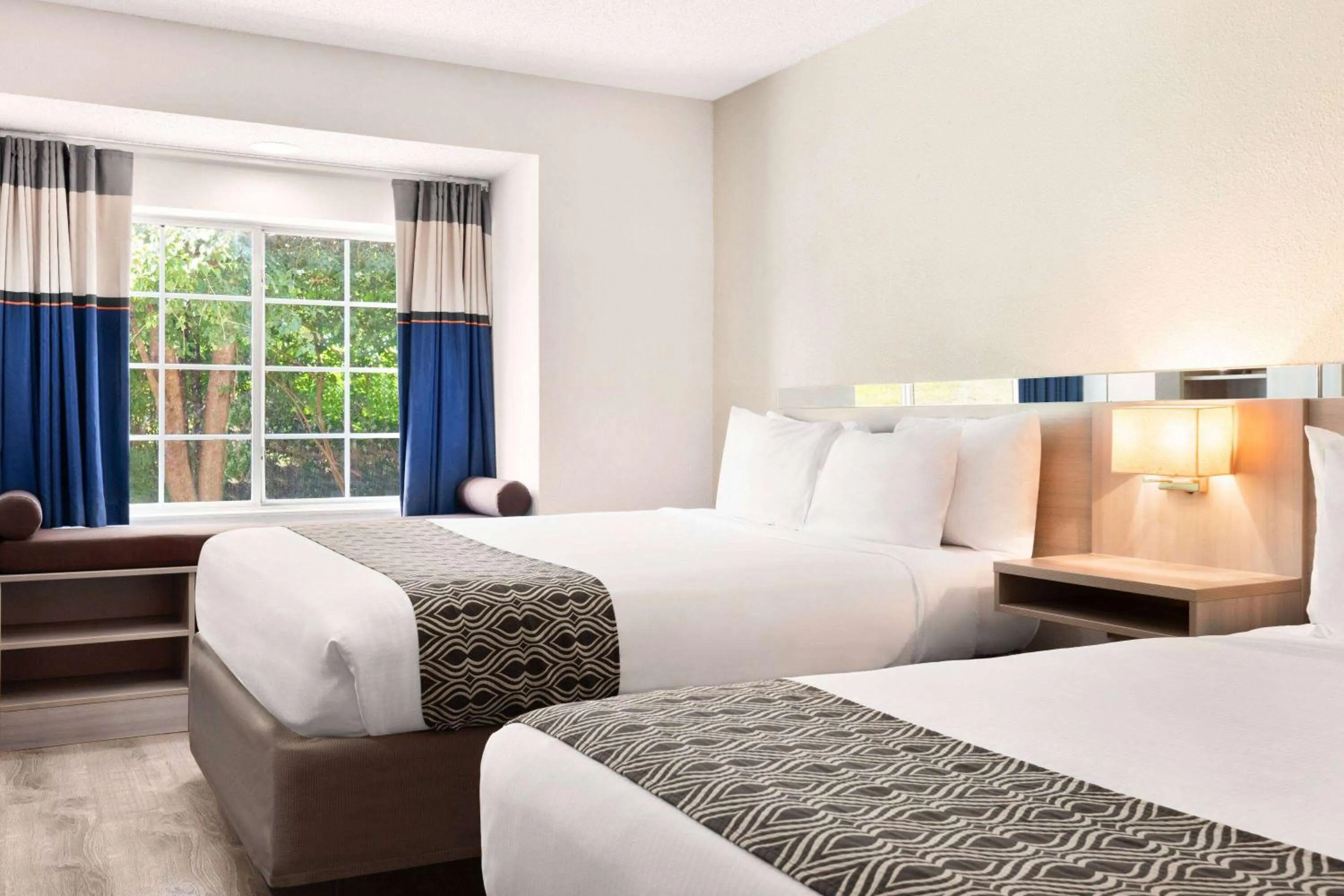 Deluxe Queen Room - Disability Access/Non-Smoking in Microtel Inn & Suites by Wyndham Florence/Cincinnati Airpo