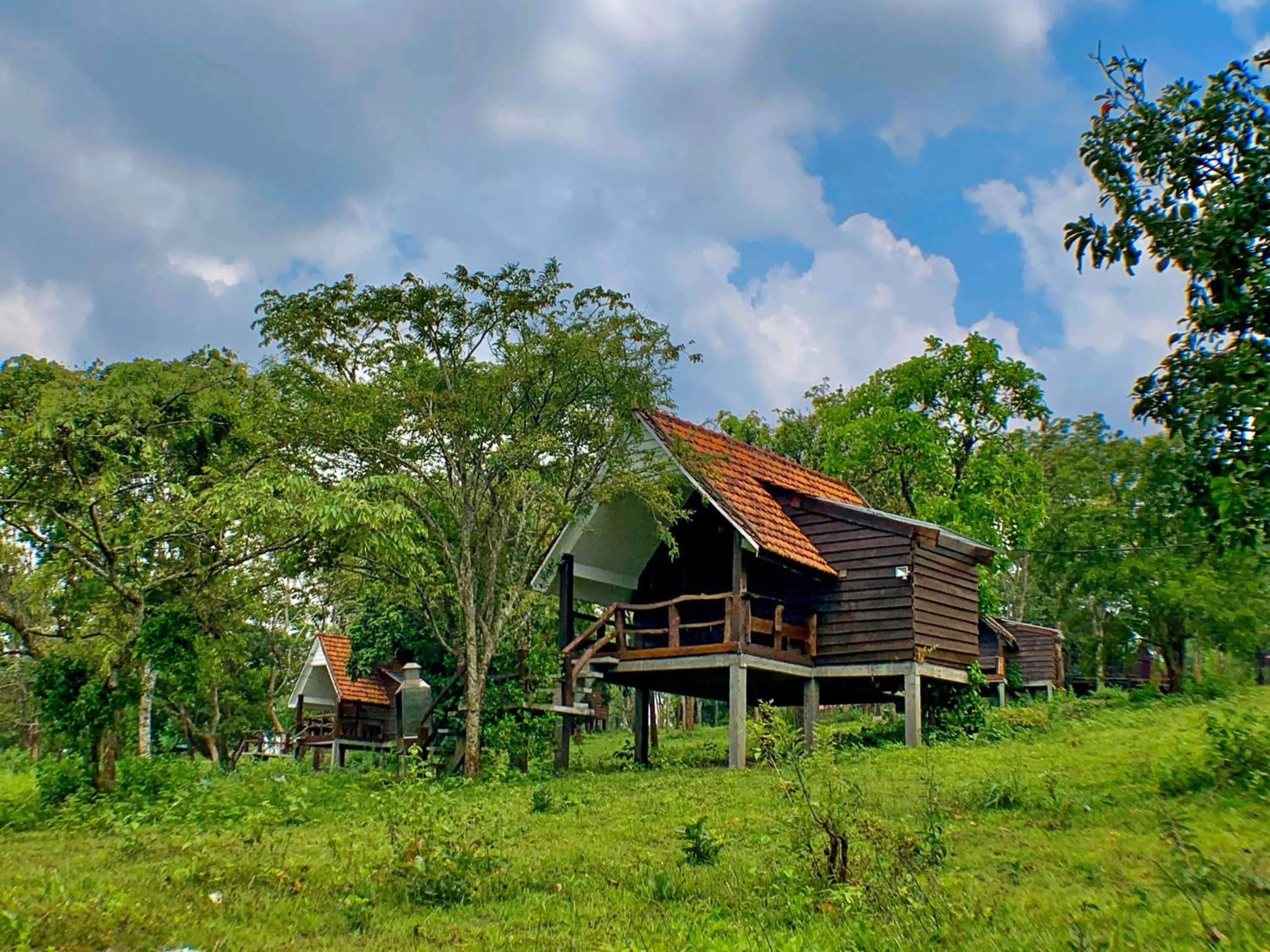 Double Room with Mountain View in Nature Lodge