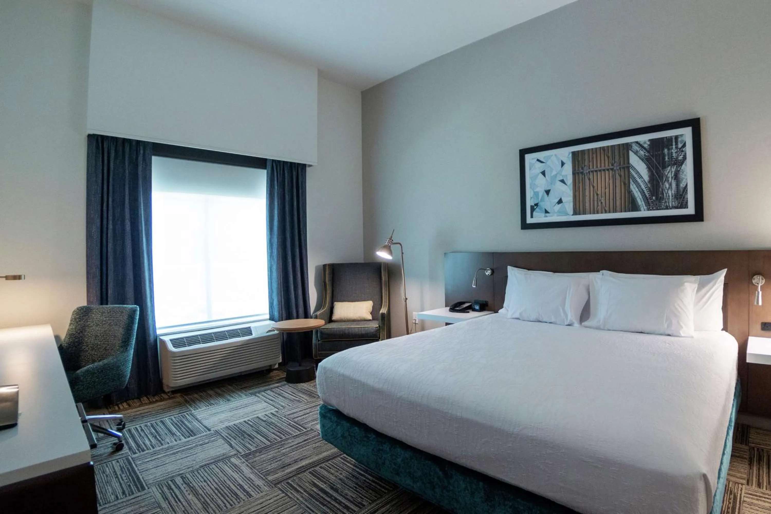 King Room in Hilton Garden Inn Spartanburg