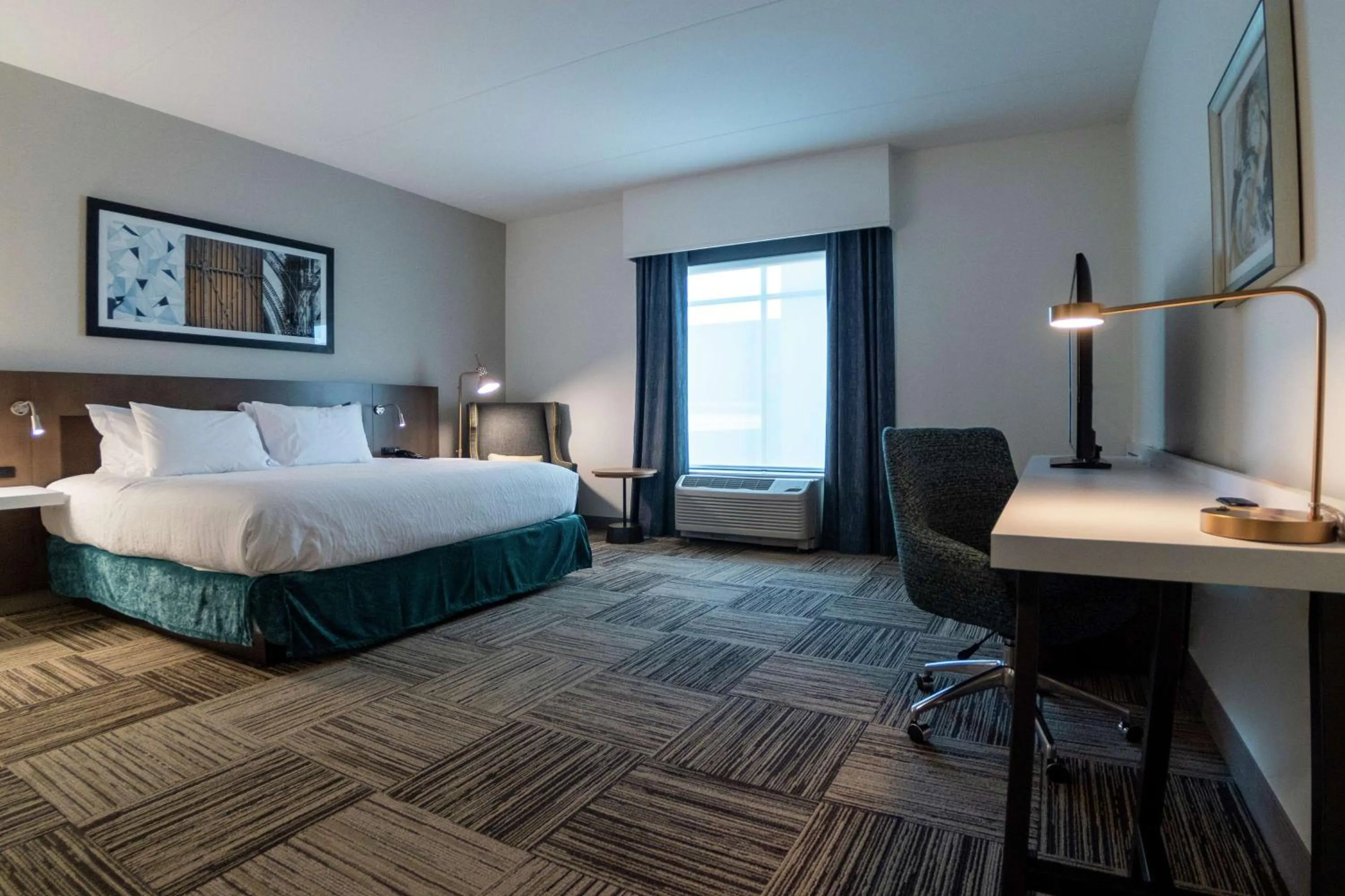 Deluxe King Room in Hilton Garden Inn Spartanburg