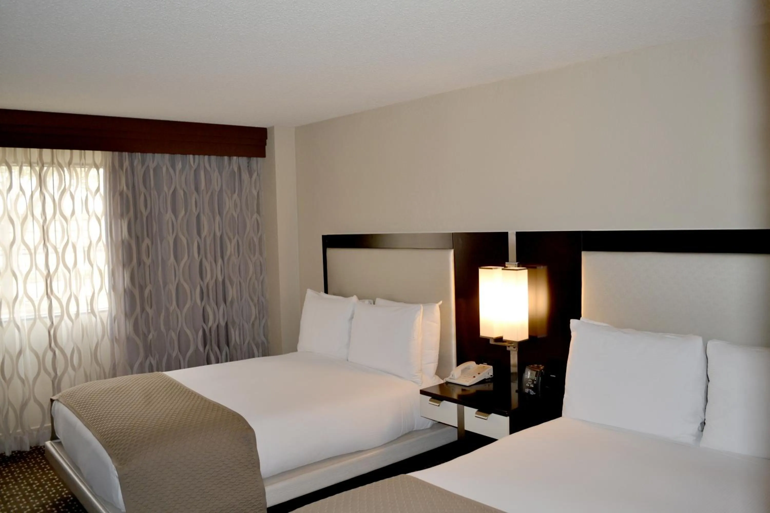 2 Double Bed Suite- Non Smoking in DoubleTree by Hilton Hotel Houston Hobby Airport