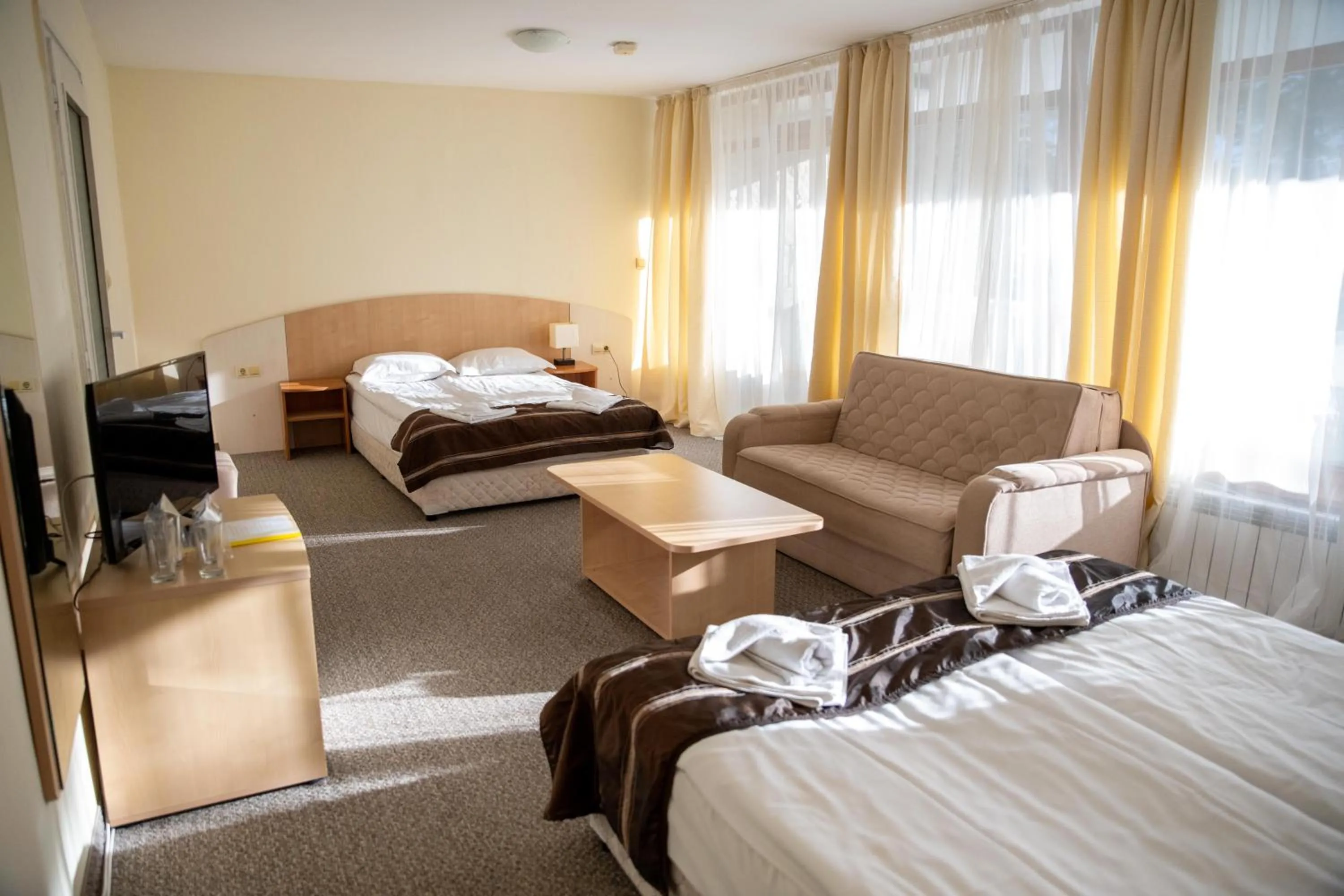 Junior Suite (2 Adults + 2 Children) with Ski Shuttle in Hotel Borovets Edelweiss