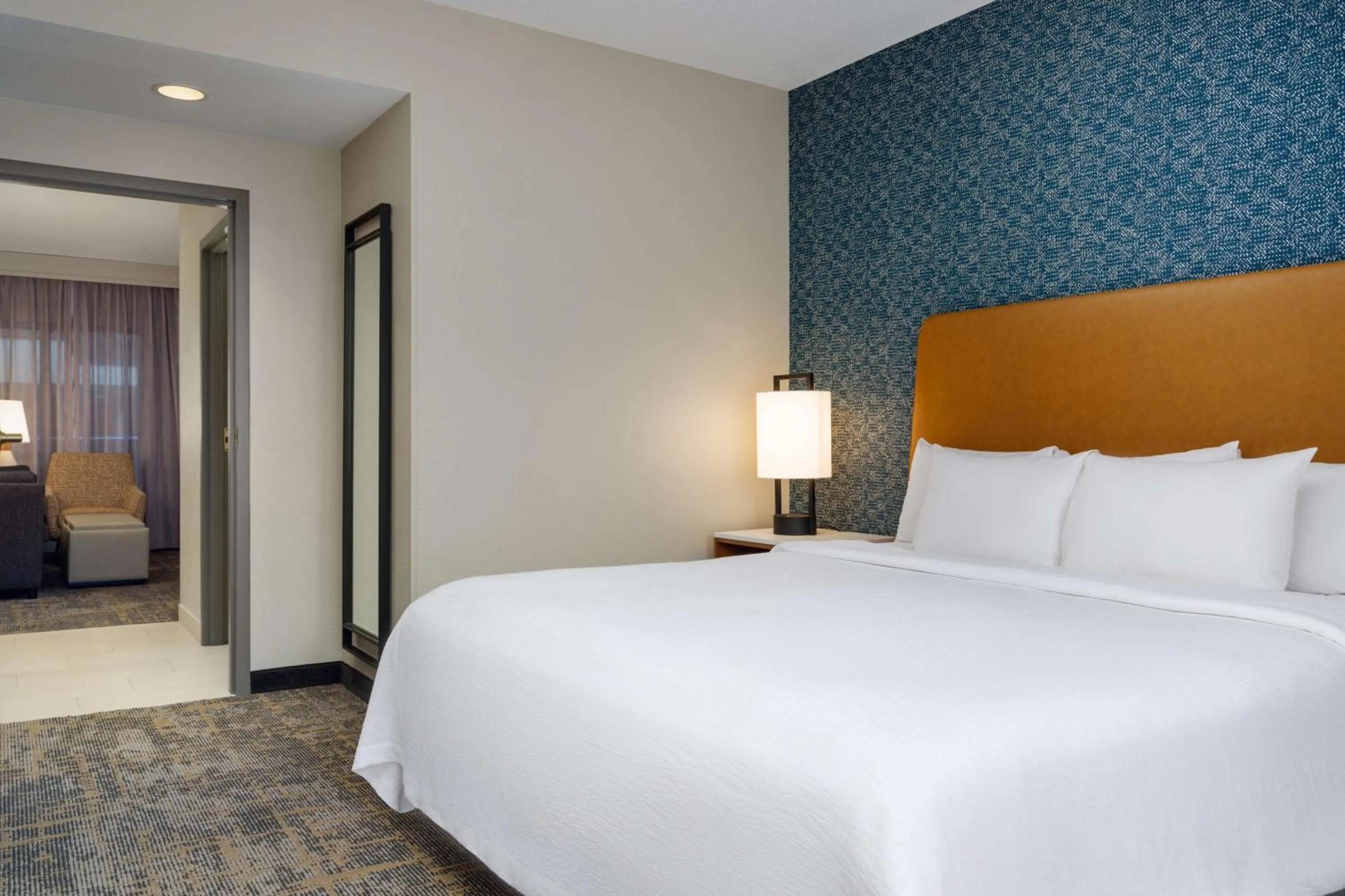 One-Bedroom King Suite - Hearing Access in Embassy Suites Lincoln