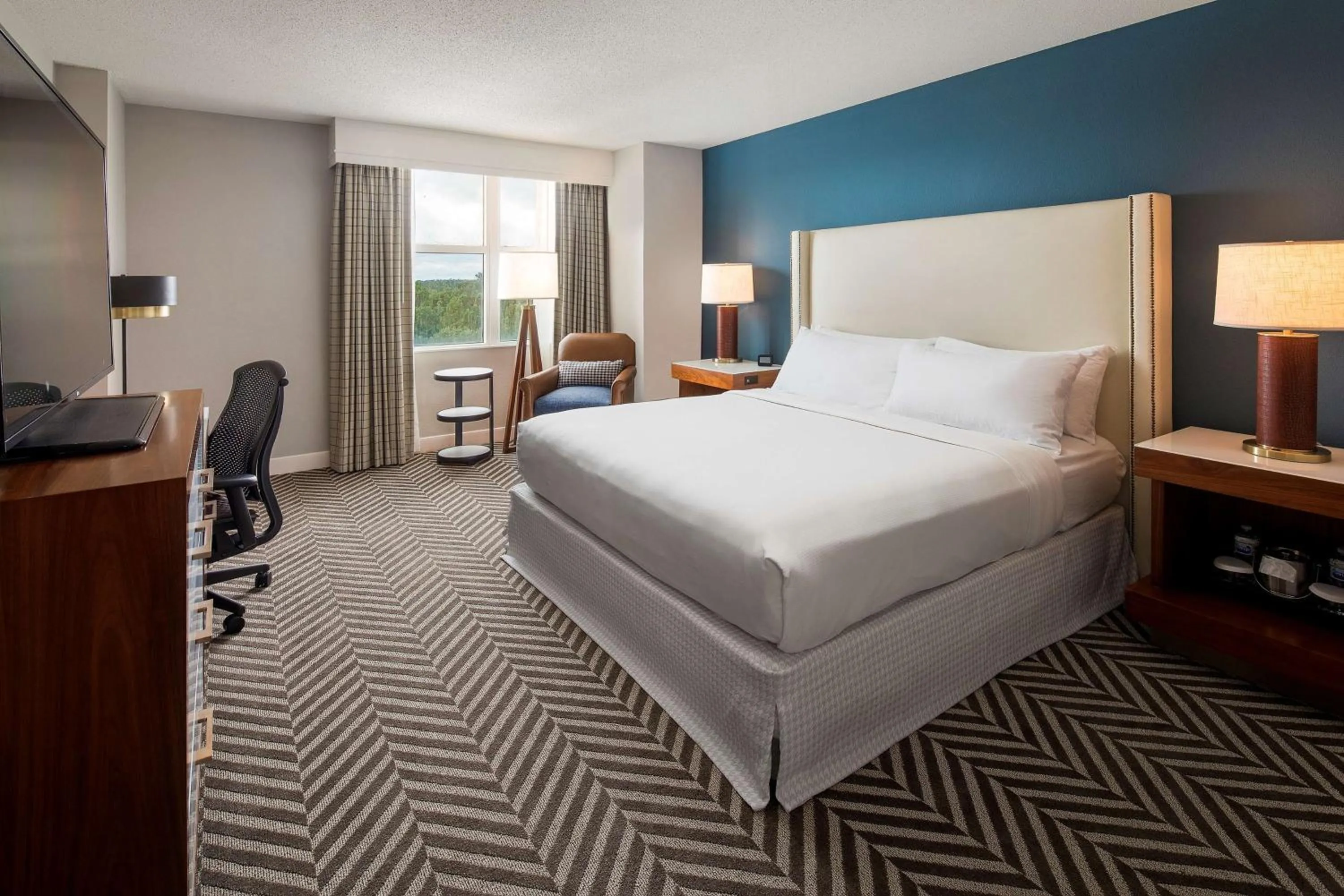 King Room with Roll-In Shower - Disability Access in Hilton University of Florida Conference Center Gainesville