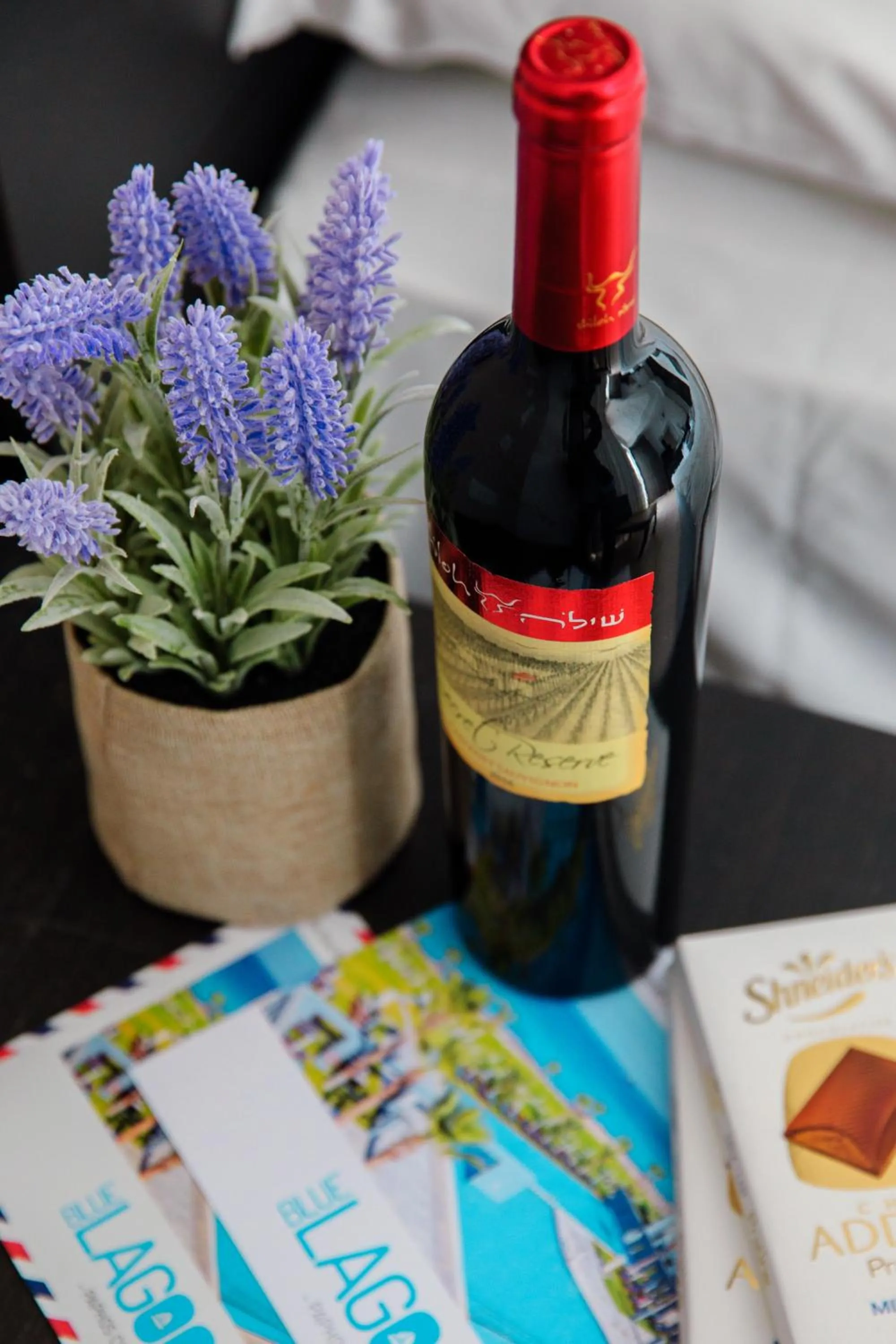 Double Room with Inland View - single occupancy in Blue Lagoon Kosher Hotel (by Capital Coast Resort & Spa)