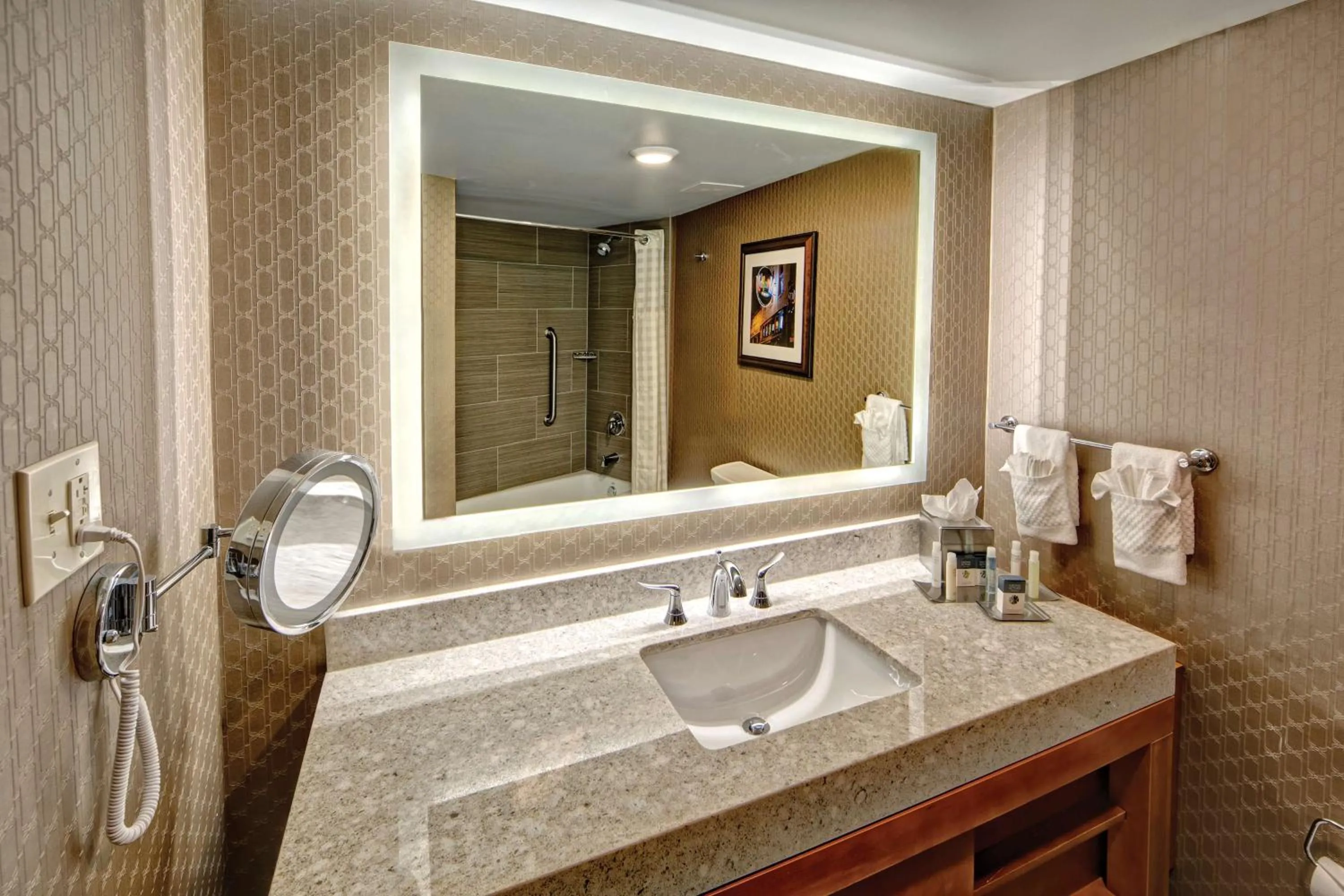 King Room with Roll-In Shower - Disability Access in DoubleTree by Hilton Memphis